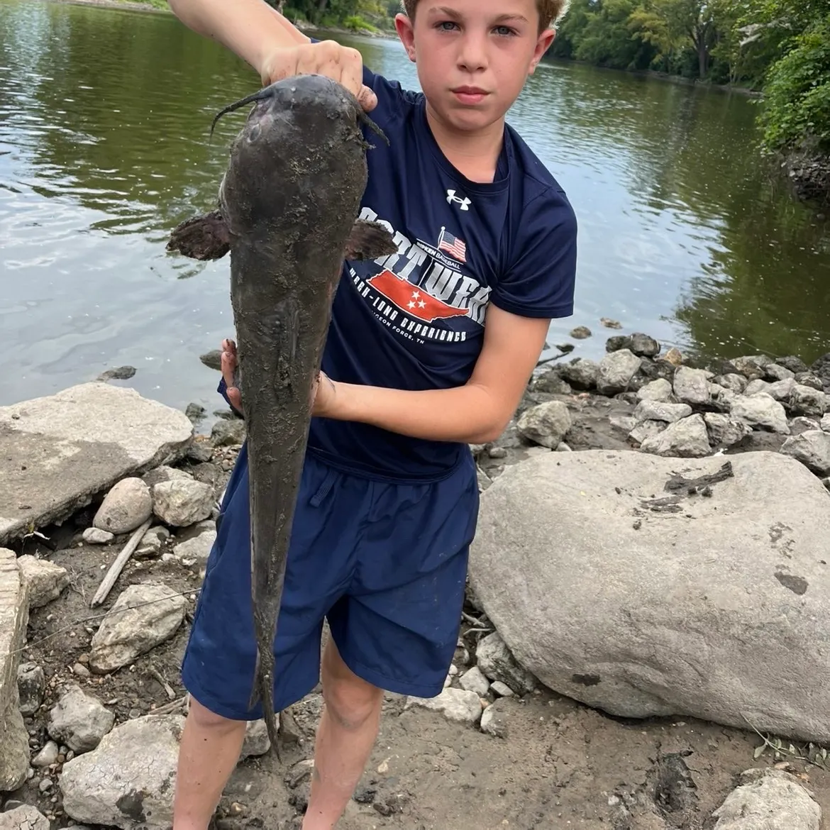 Channel catfish caught on Fishbrain