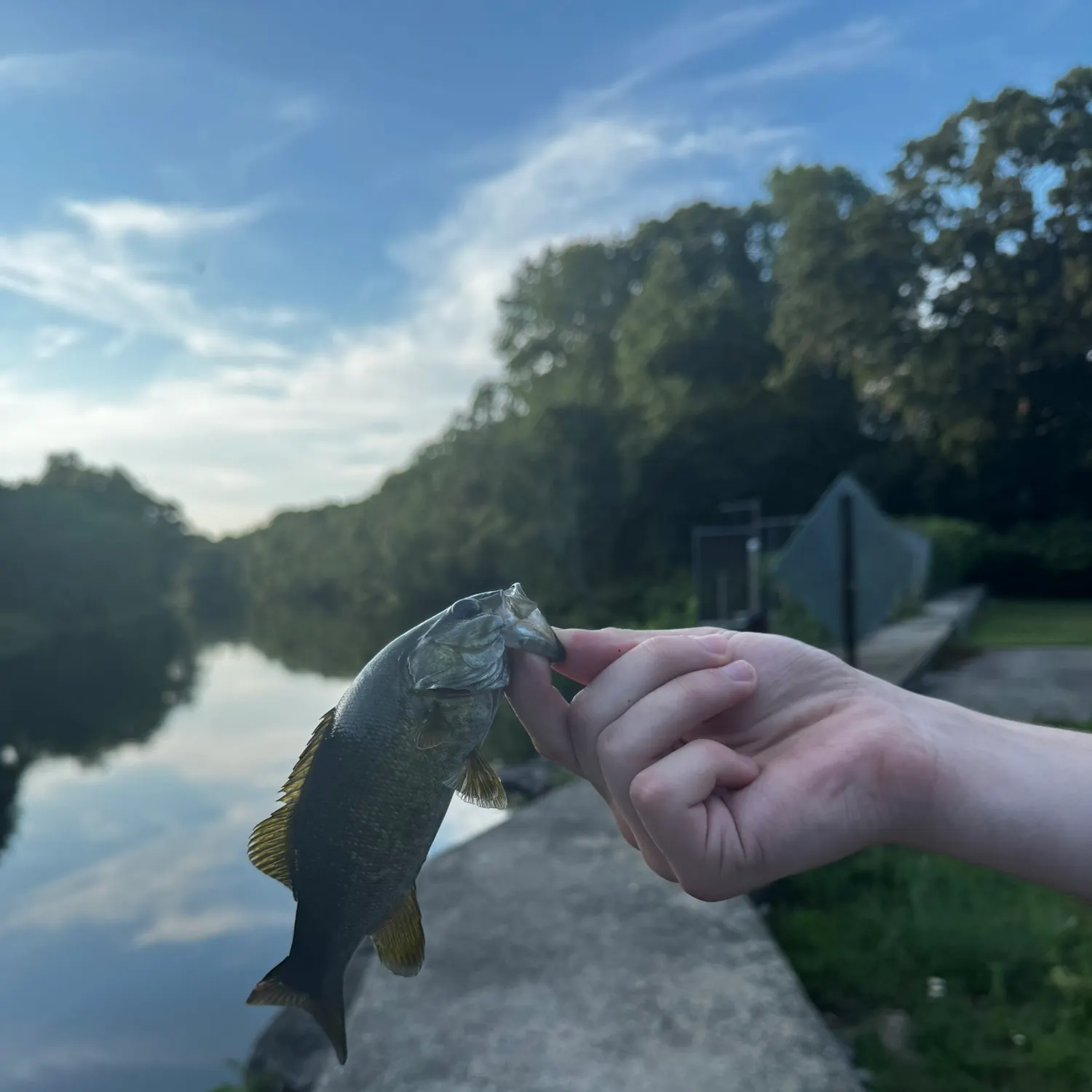 catch