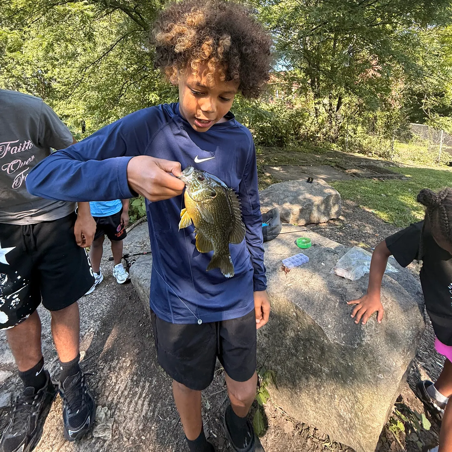 Green sunfish caught on Fishbrain
