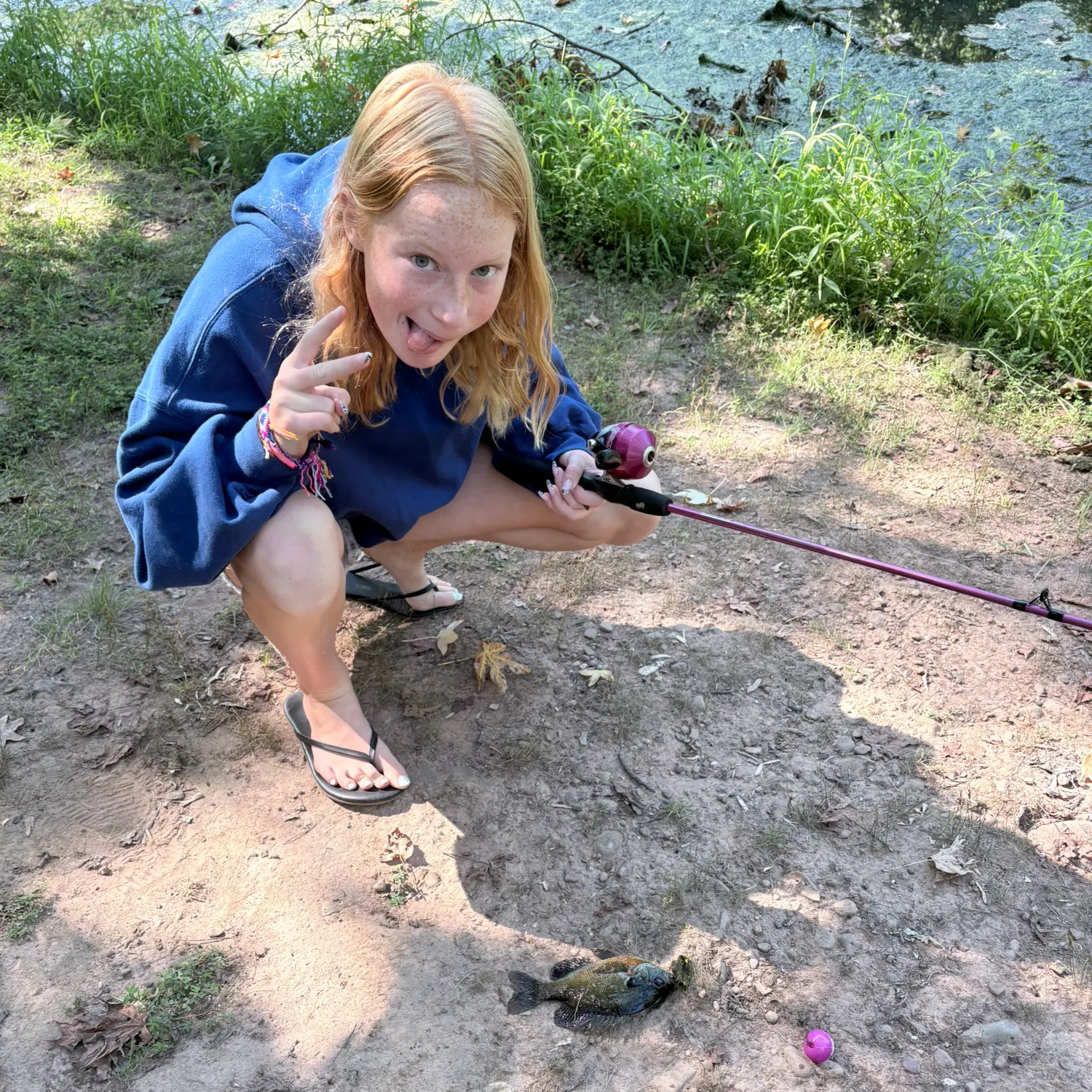 Bluegill caught on Fishbrain