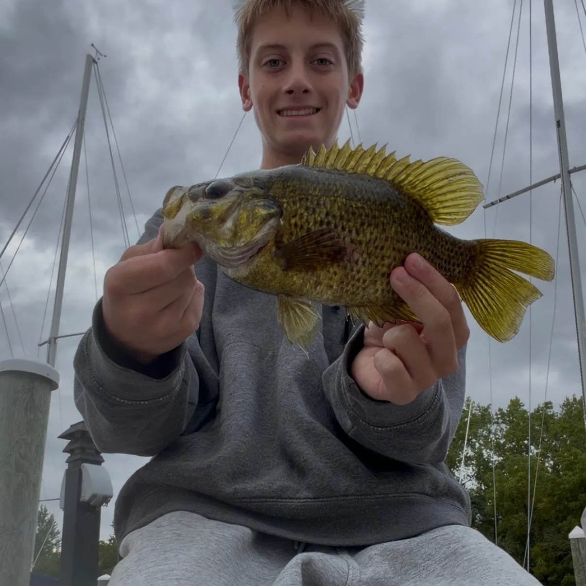 Rock bass caught on Fishbrain