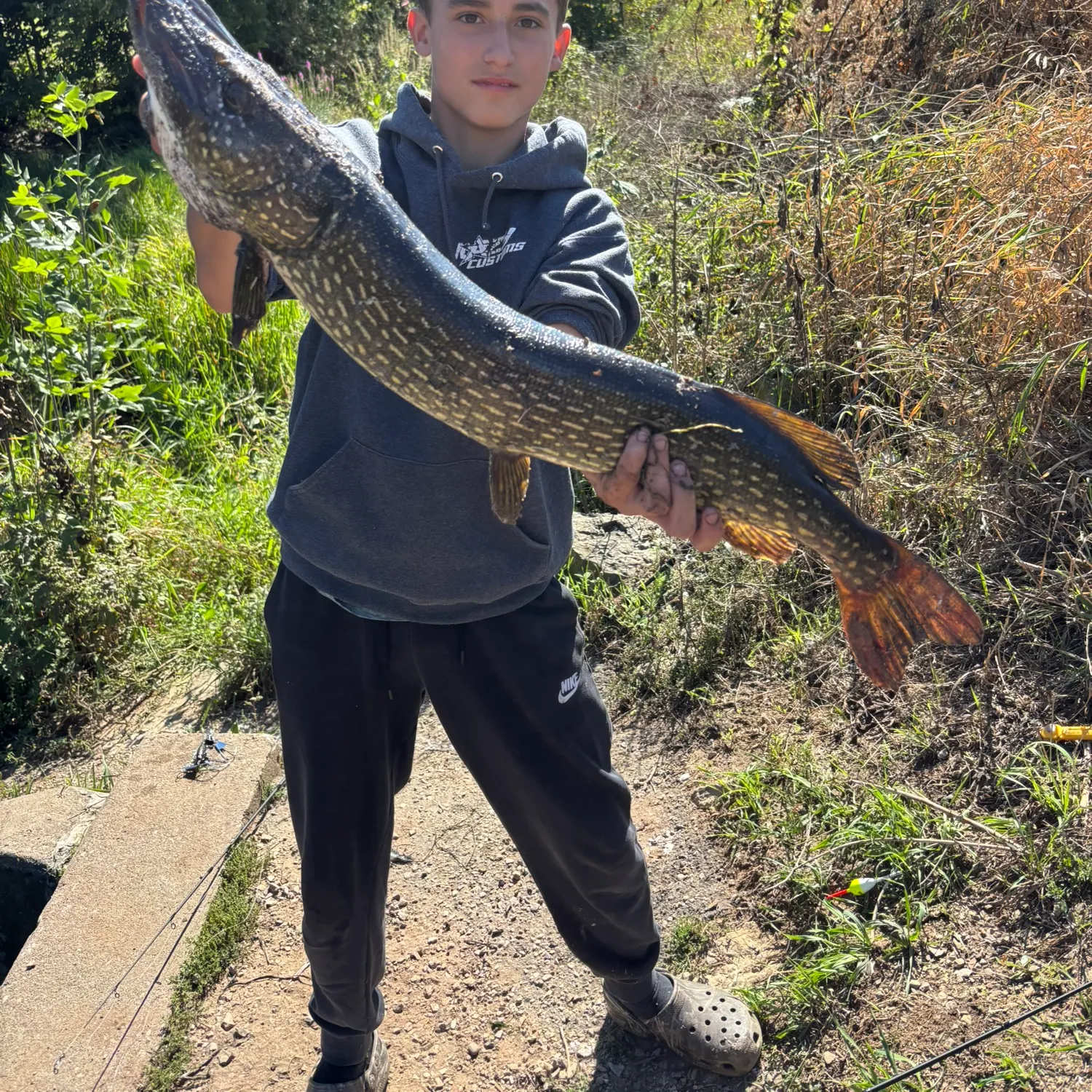 Northern pike caught on Fishbrain
