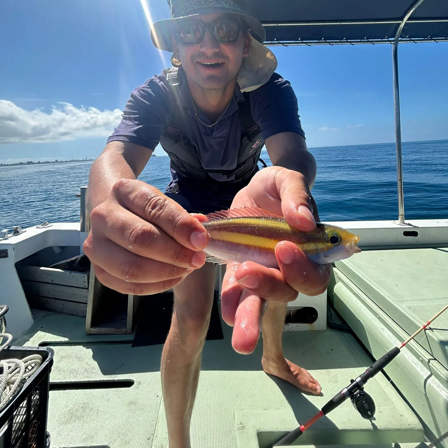 The most recent Paradise whiptail catches on Fishbrain