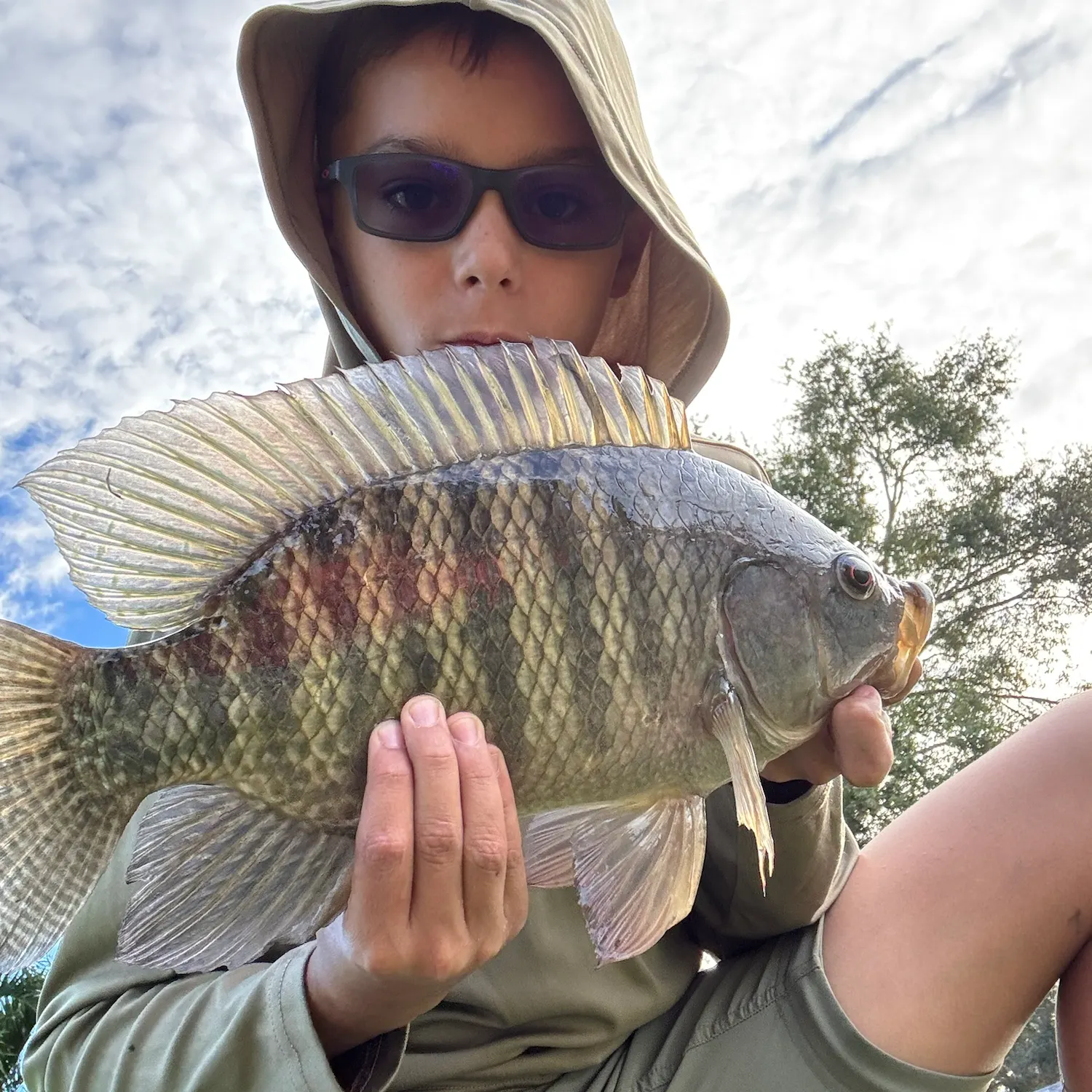 The most recent Longfin tilapia catches on Fishbrain