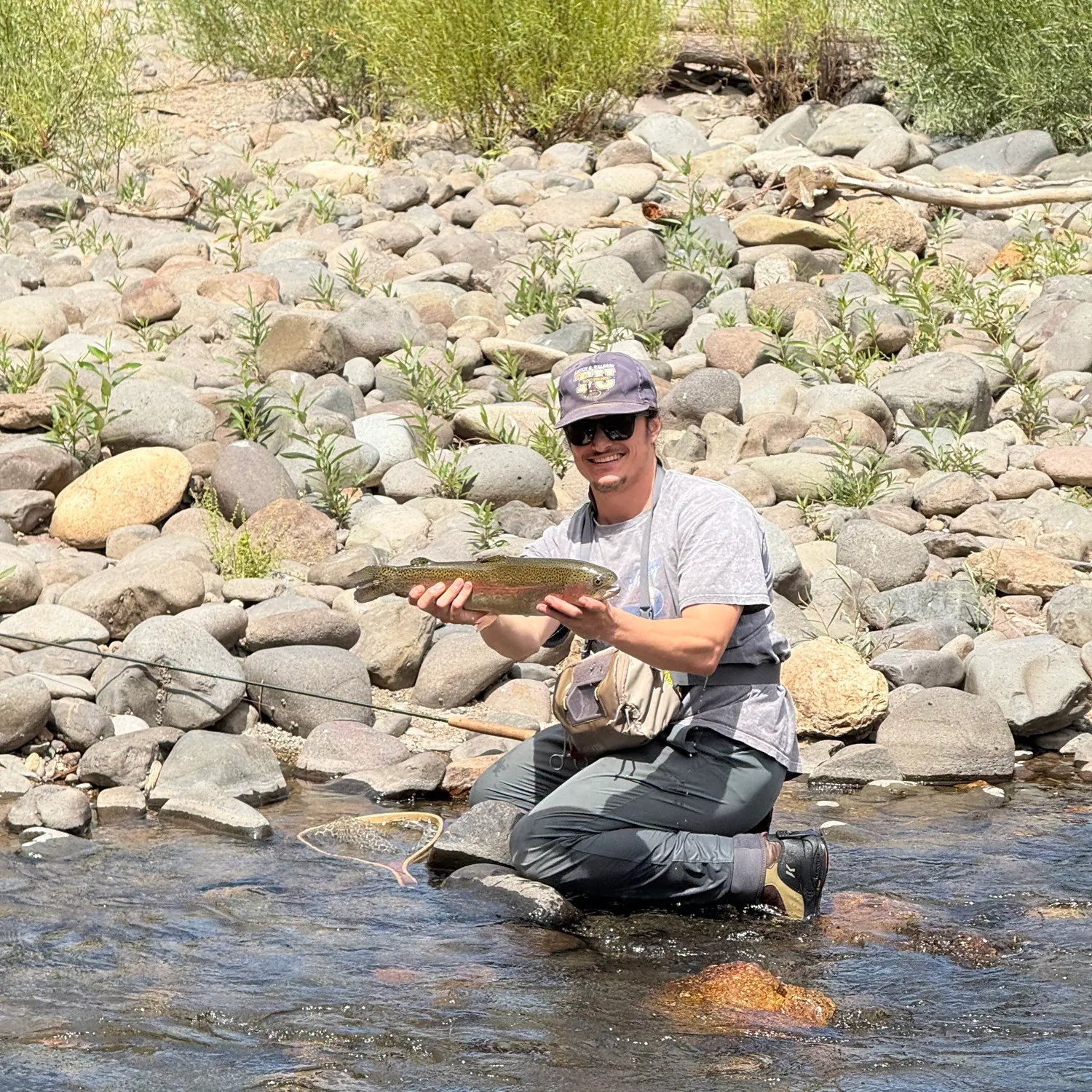 Rainbow trout caught on Fishbrain