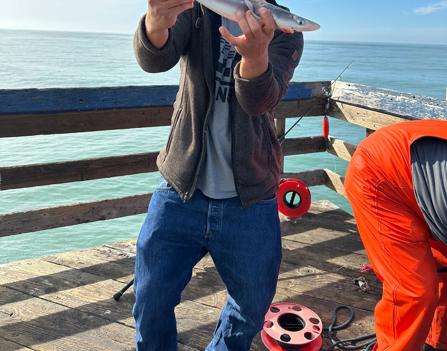 Pacific spiny dogfish