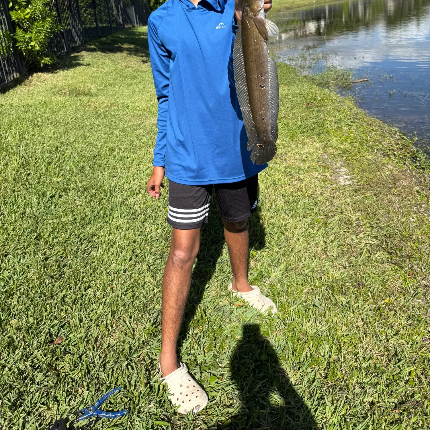 The most recent Bullseye snakehead catches on Fishbrain