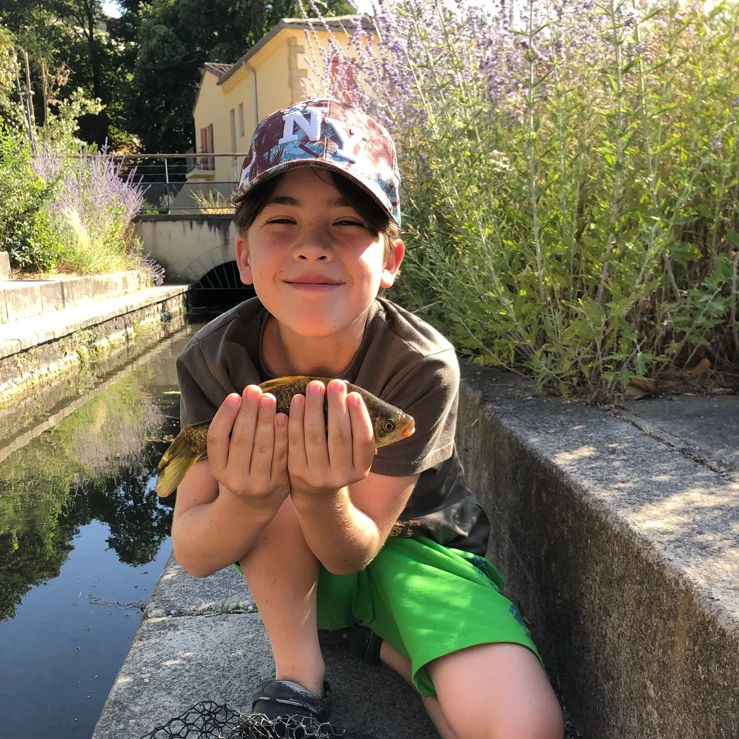 The most recent F1 carp catches on Fishbrain