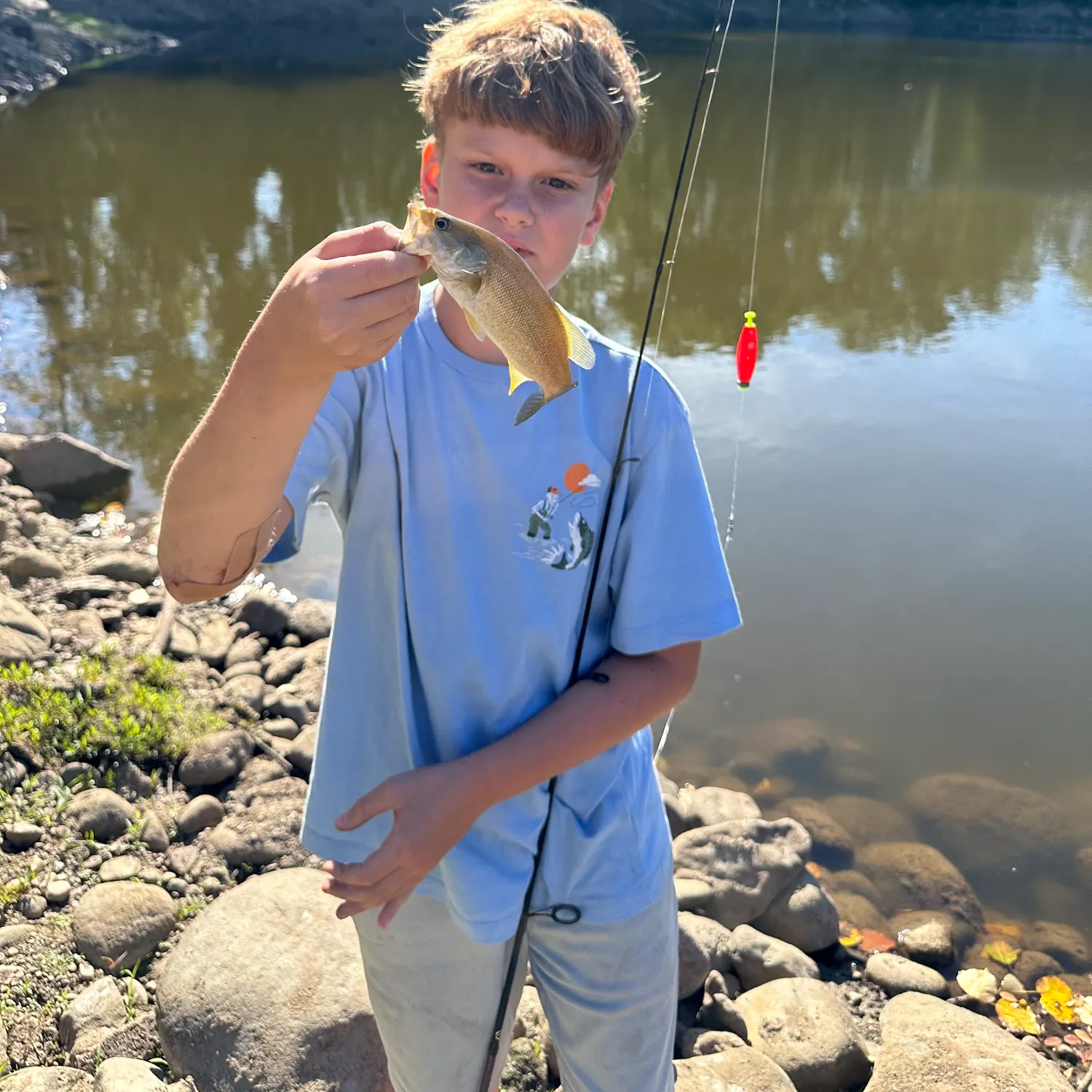 Smallmouth bass caught on Fishbrain