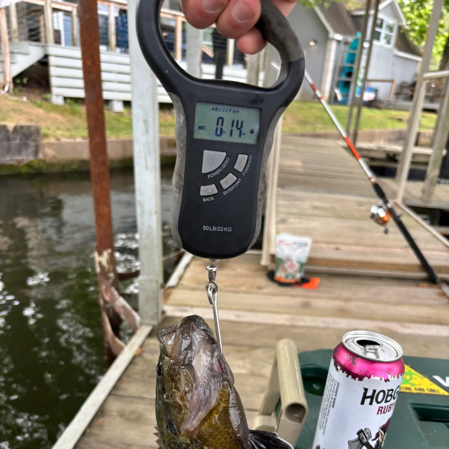 recently logged catches