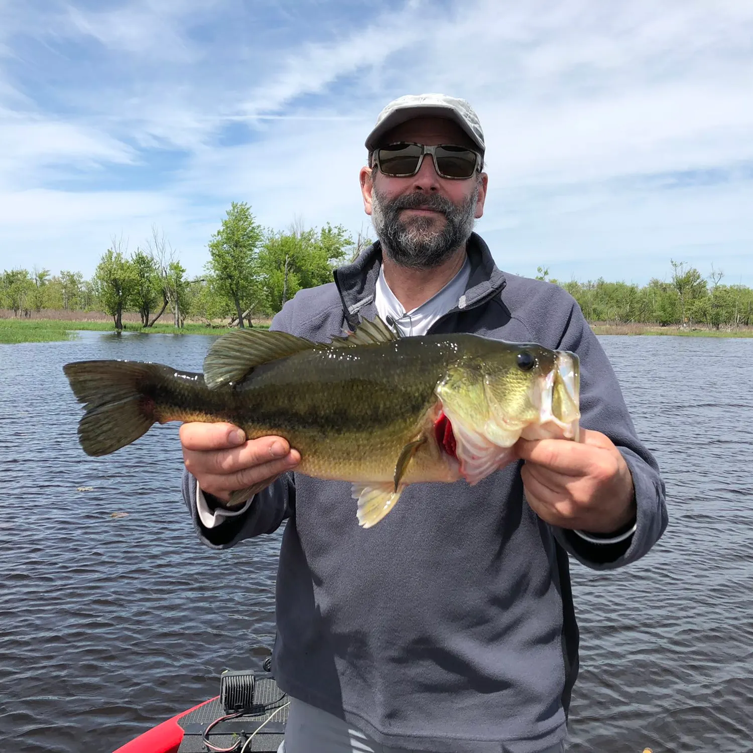 Largemouth bass caught on Fishbrain