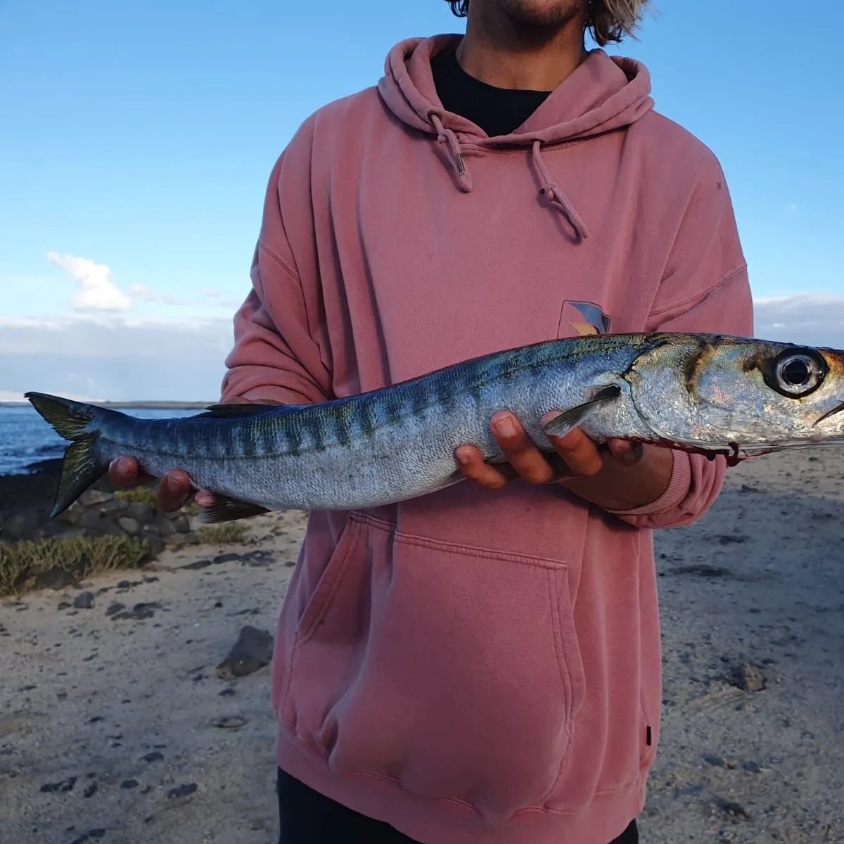 The most popular recent European barracuda catch on Fishbrain