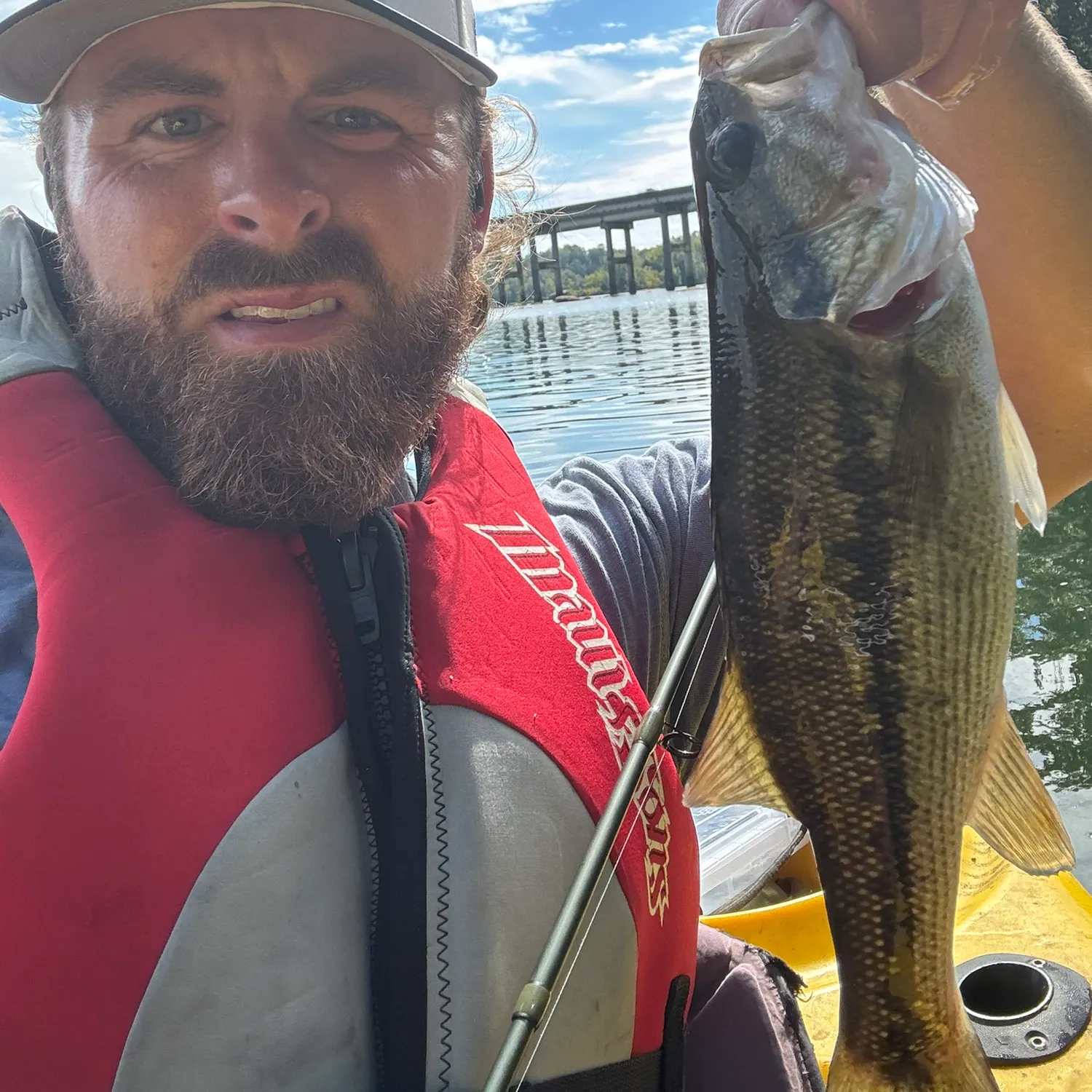 Spotted bass caught on Fishbrain