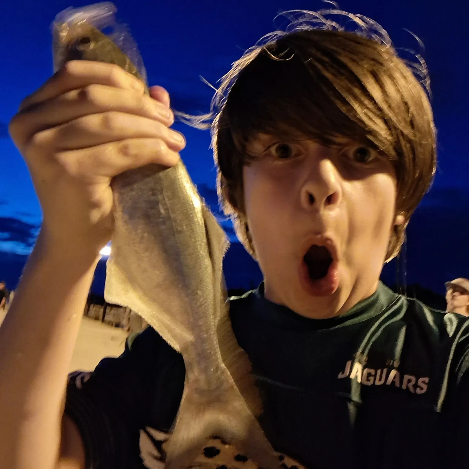 Bluefish caught on Fishbrain