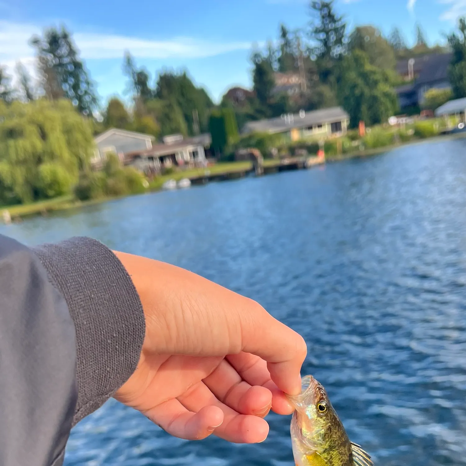 catch