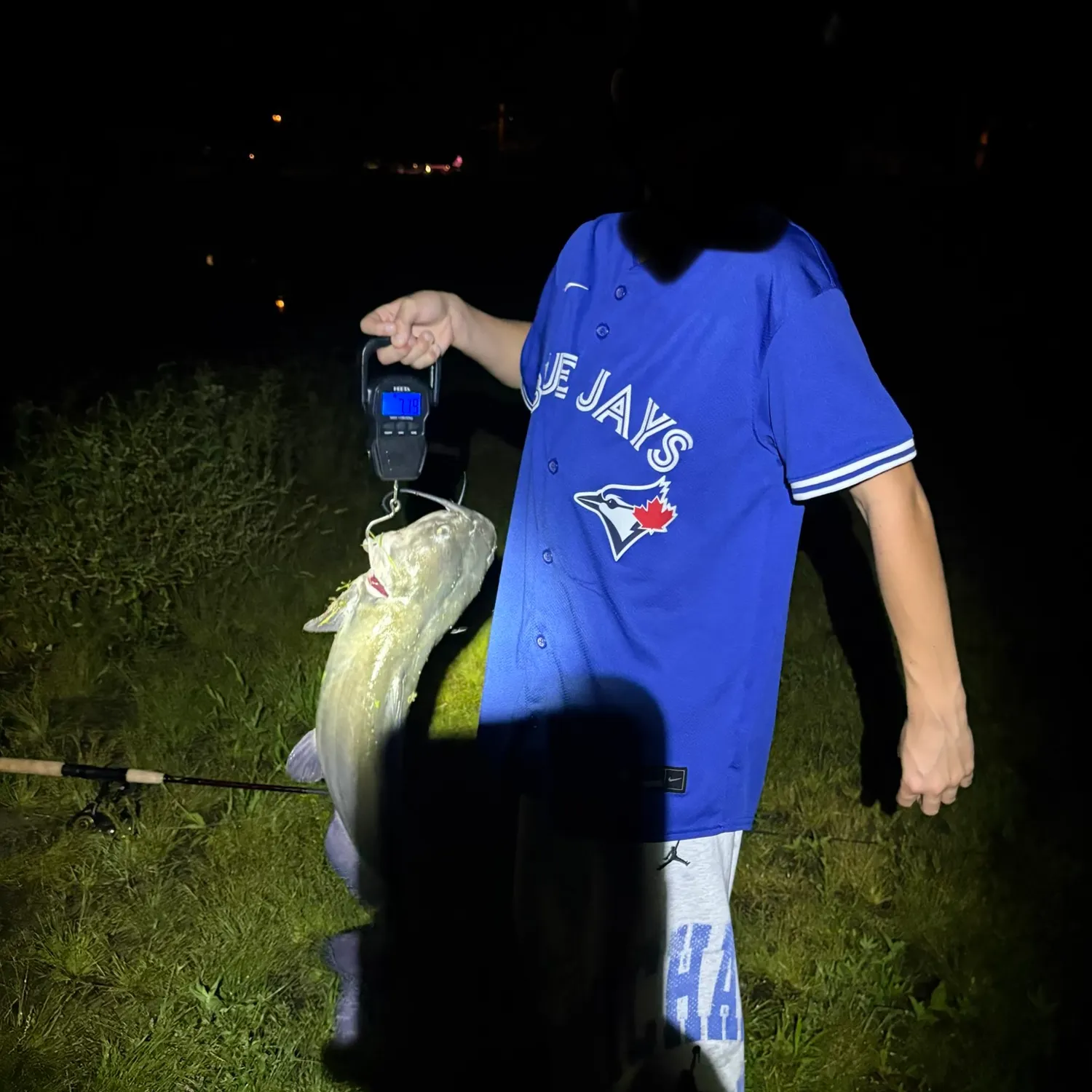 Black bullhead caught on Fishbrain