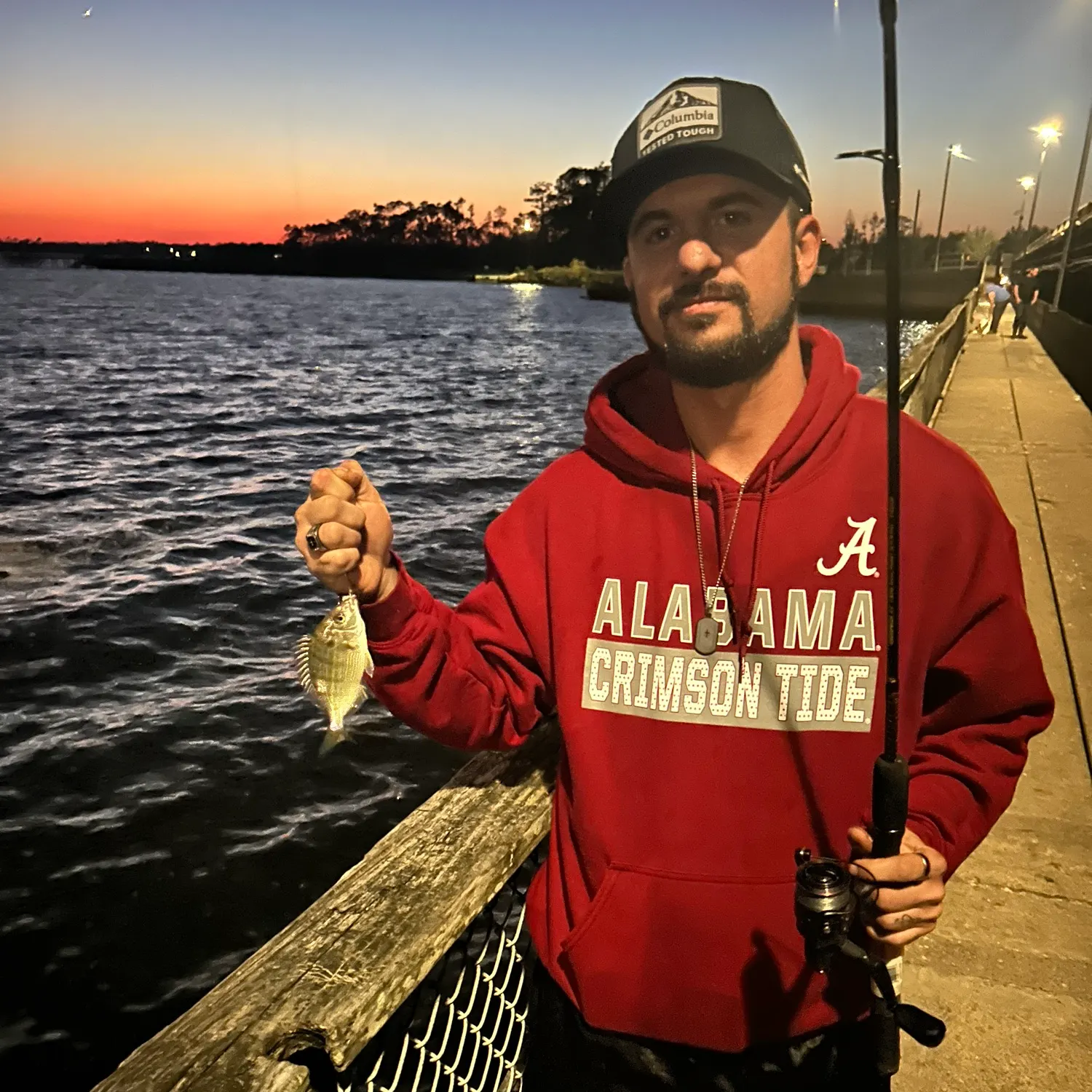 The most recent Pinfish catches on Fishbrain