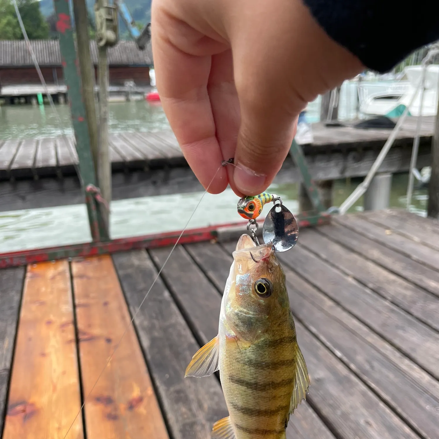 catch