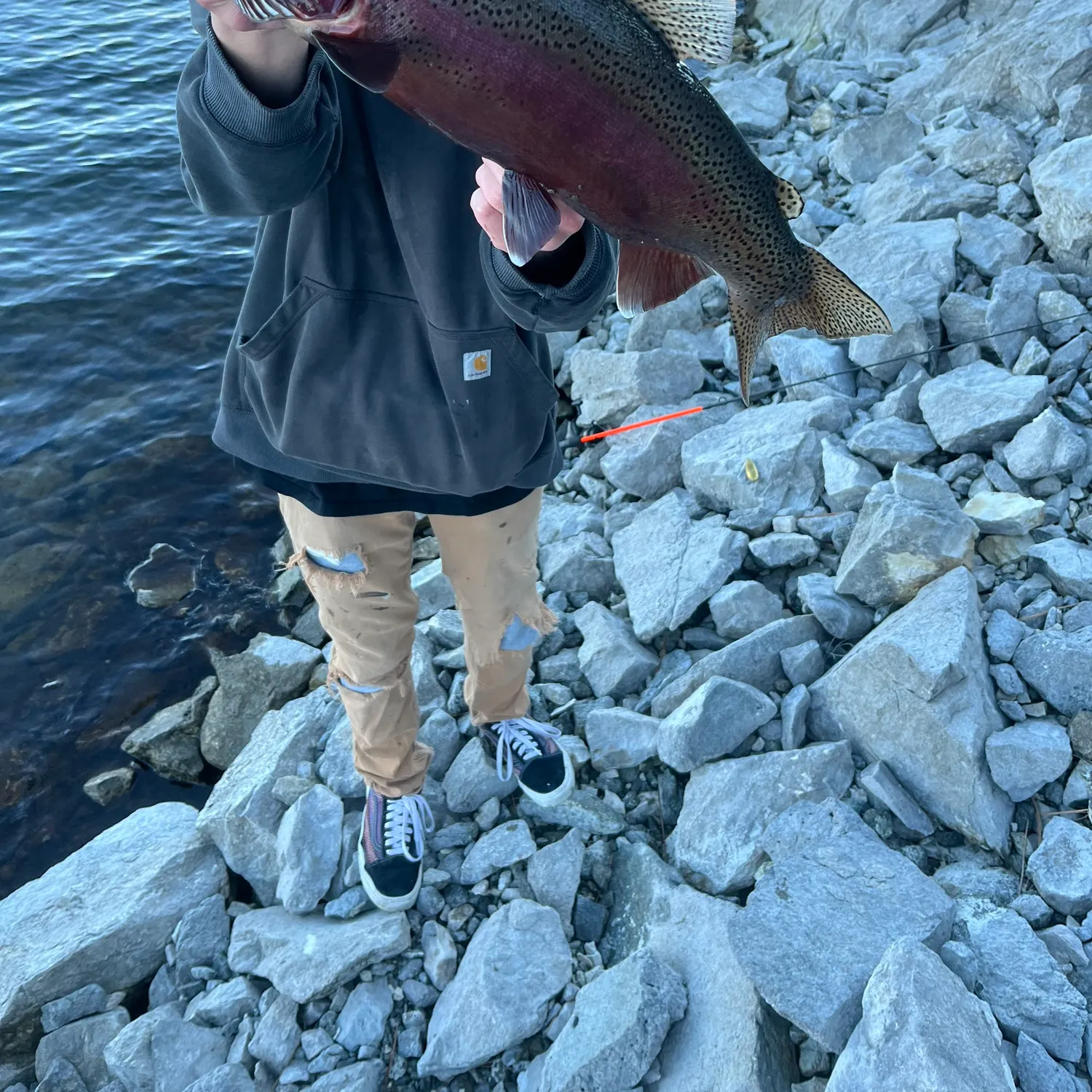 recently logged catches