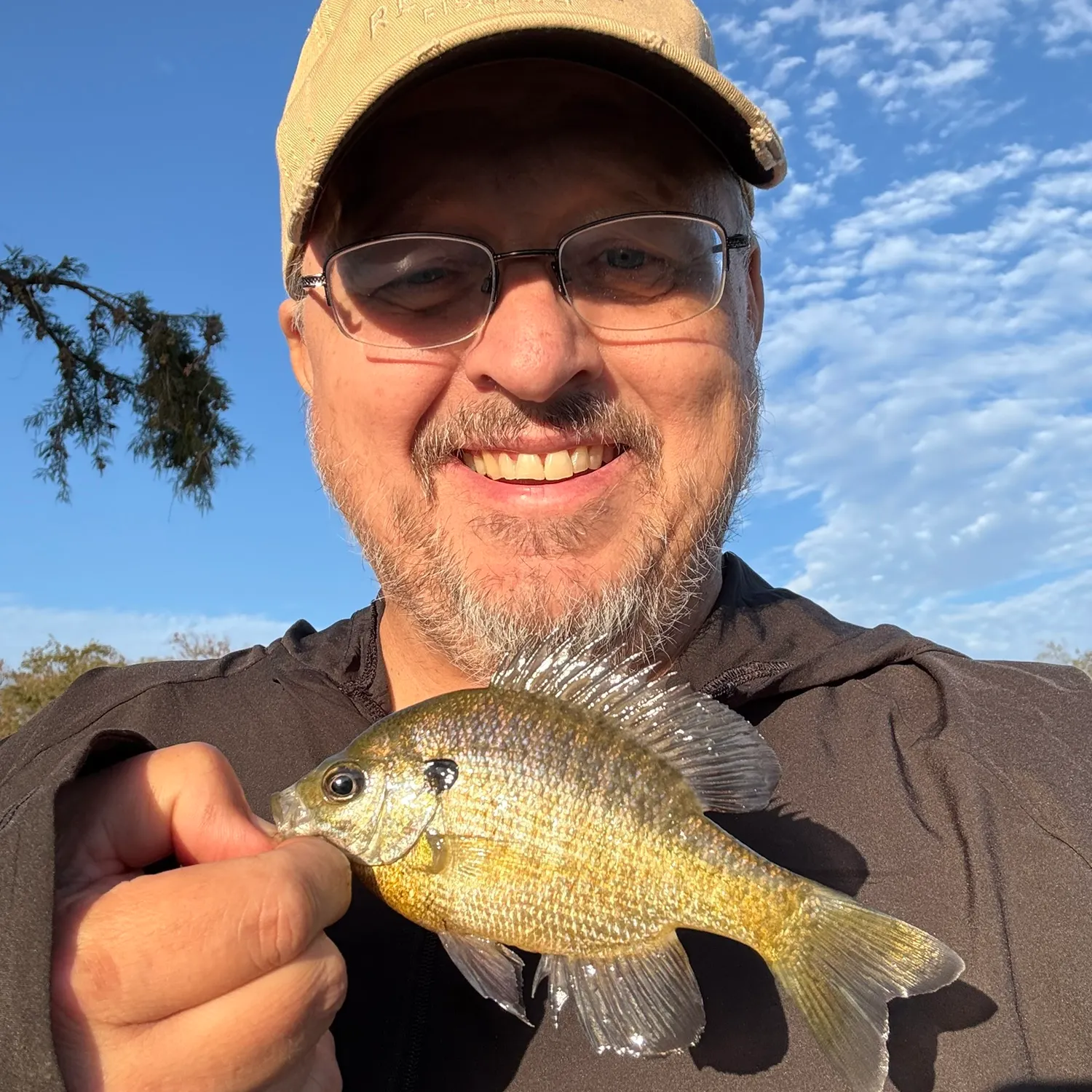 Bluegill caught on Fishbrain