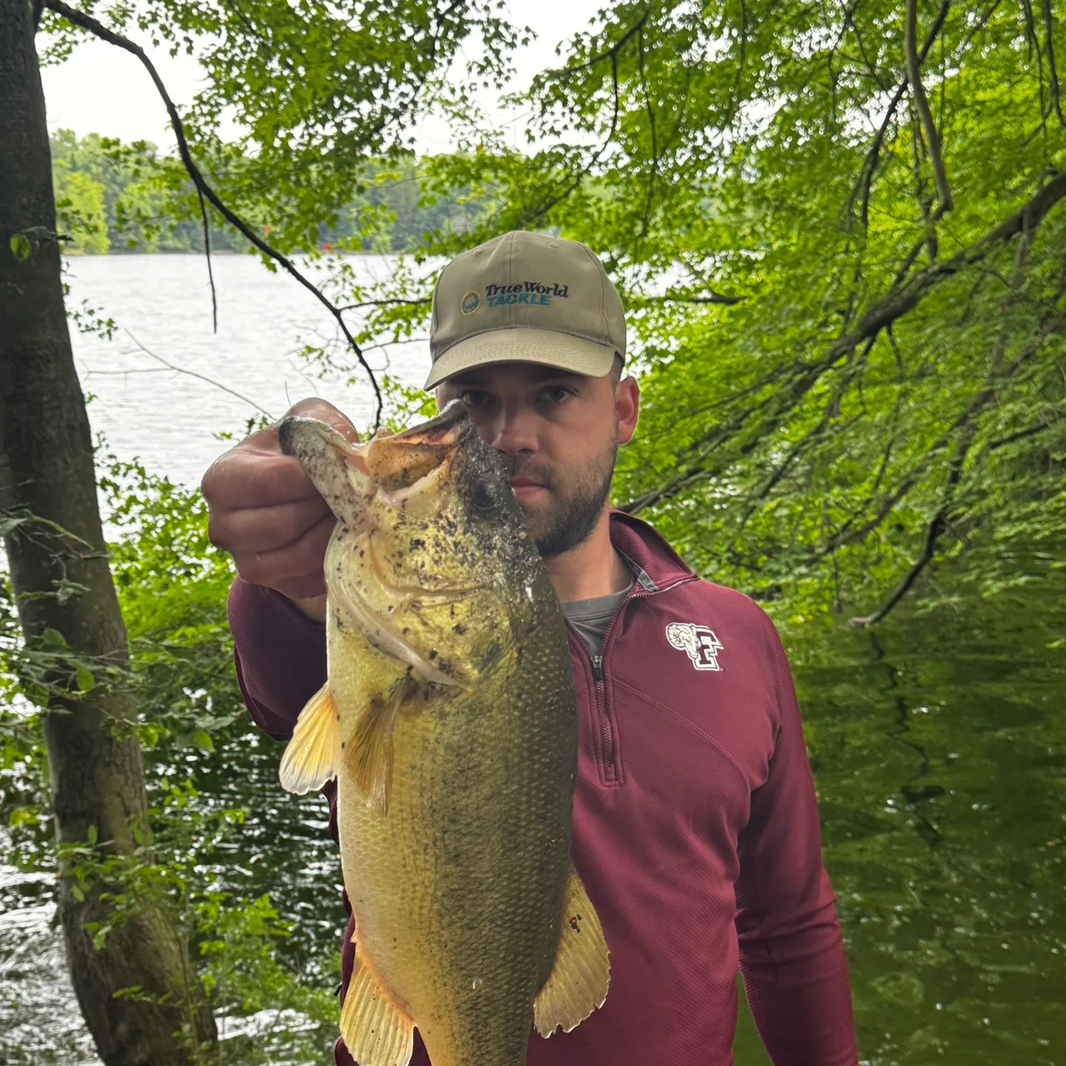 angler catch