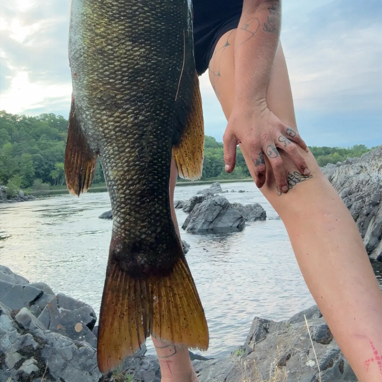 recently logged catches