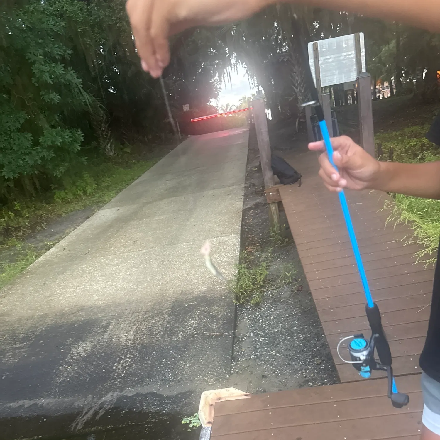 catch