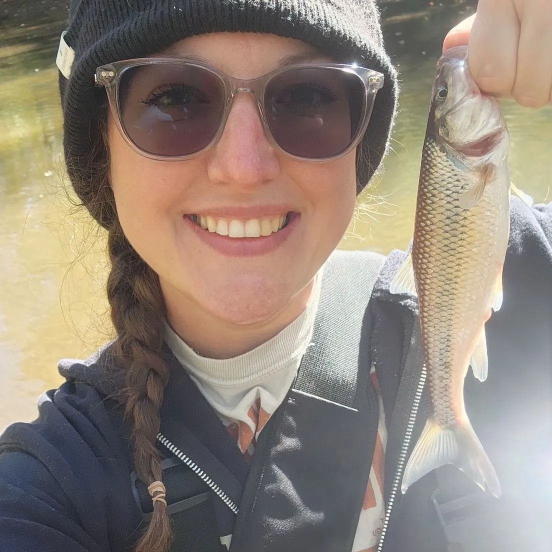 Fallfish caught on Fishbrain