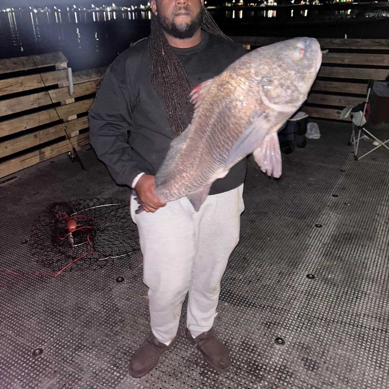 The most recent Black drum catches on Fishbrain
