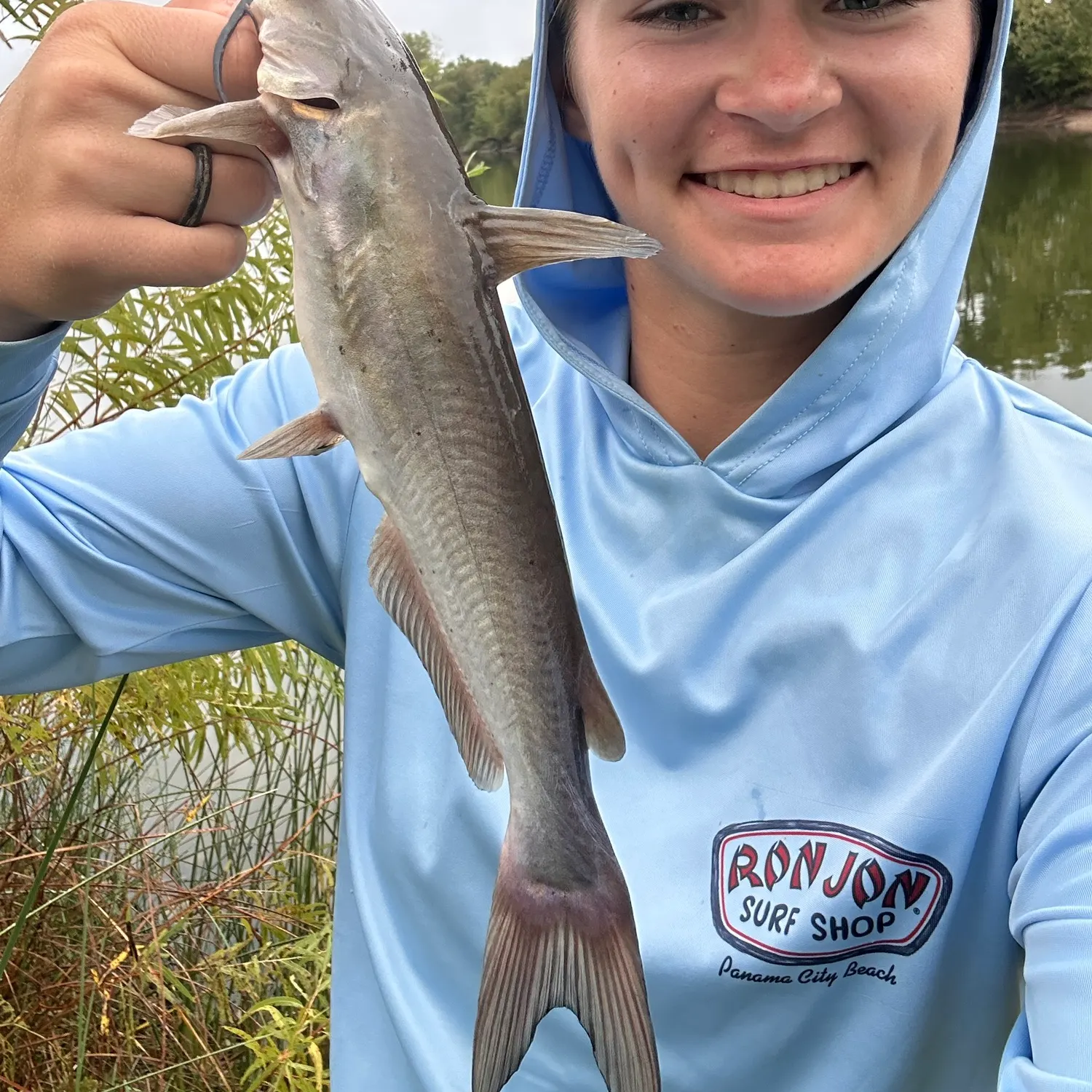 Channel catfish caught on Fishbrain