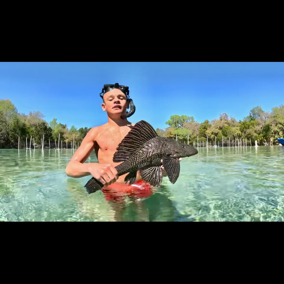 The most recent Suckermouth catfish catches on Fishbrain