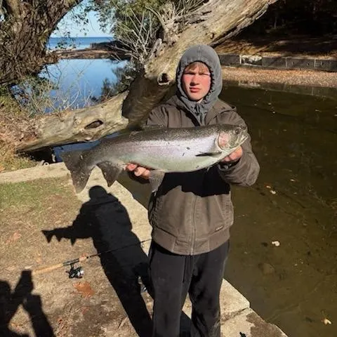 Steelhead caught on Fishbrain