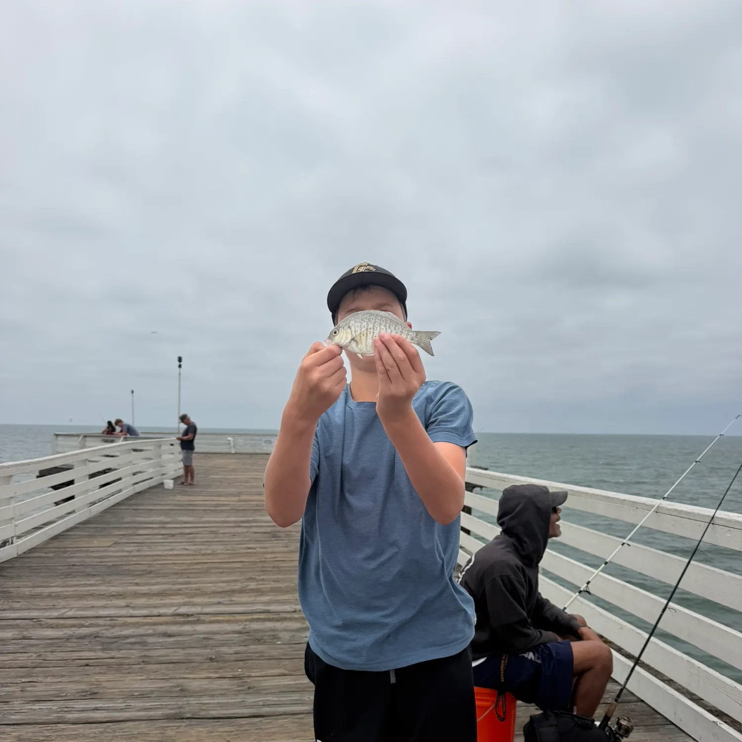 The most recent Pacific pompano catches on Fishbrain