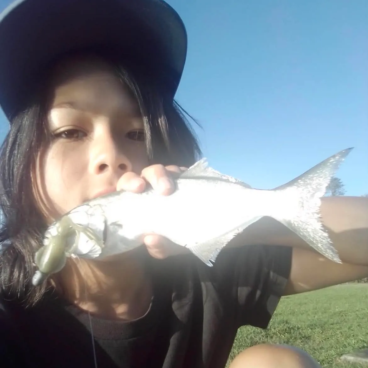 The most recent Bluefish catches on Fishbrain