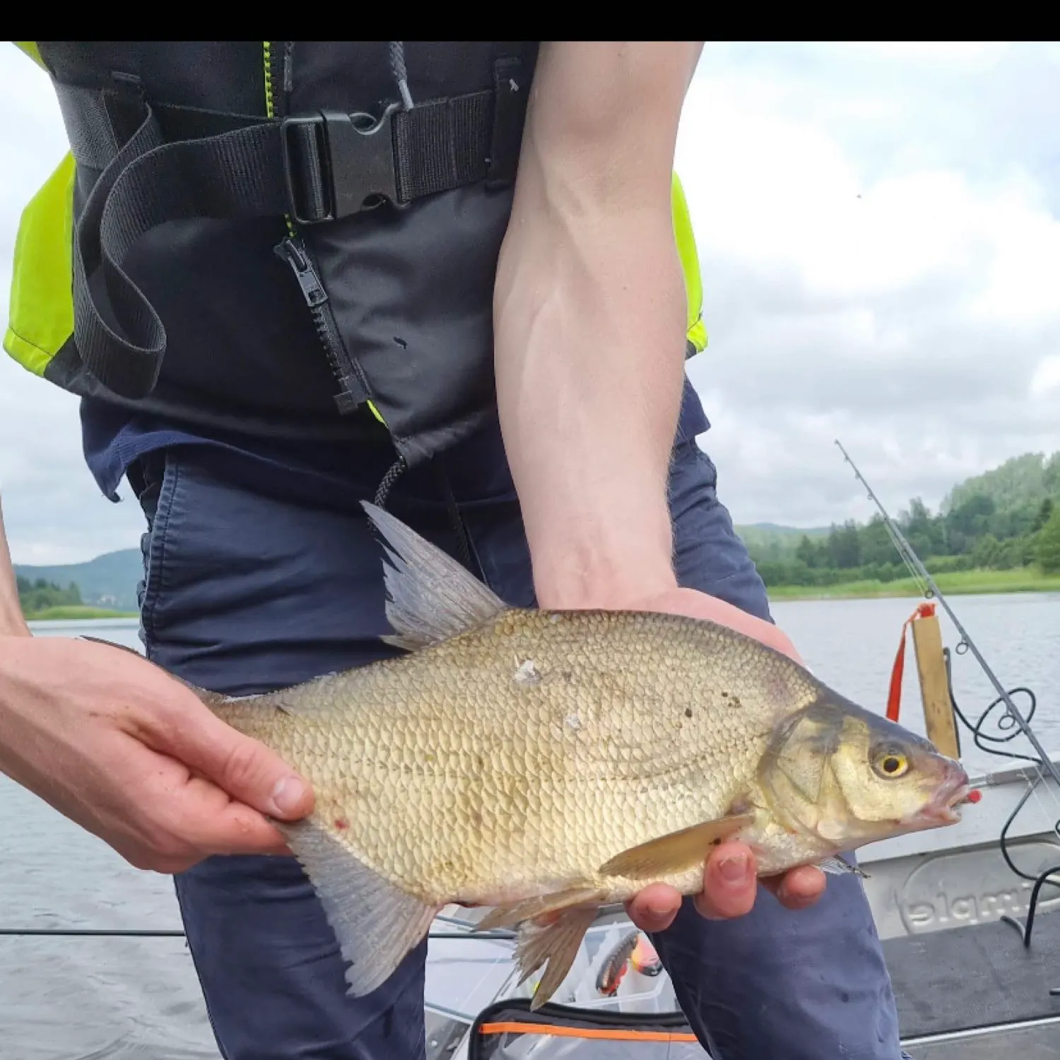 Common bream caught on Fishbrain