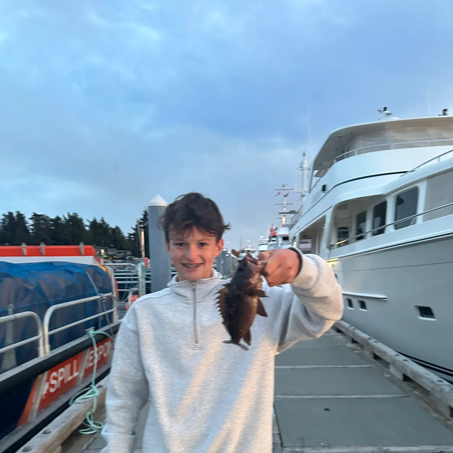 Copper rockfish caught on Fishbrain