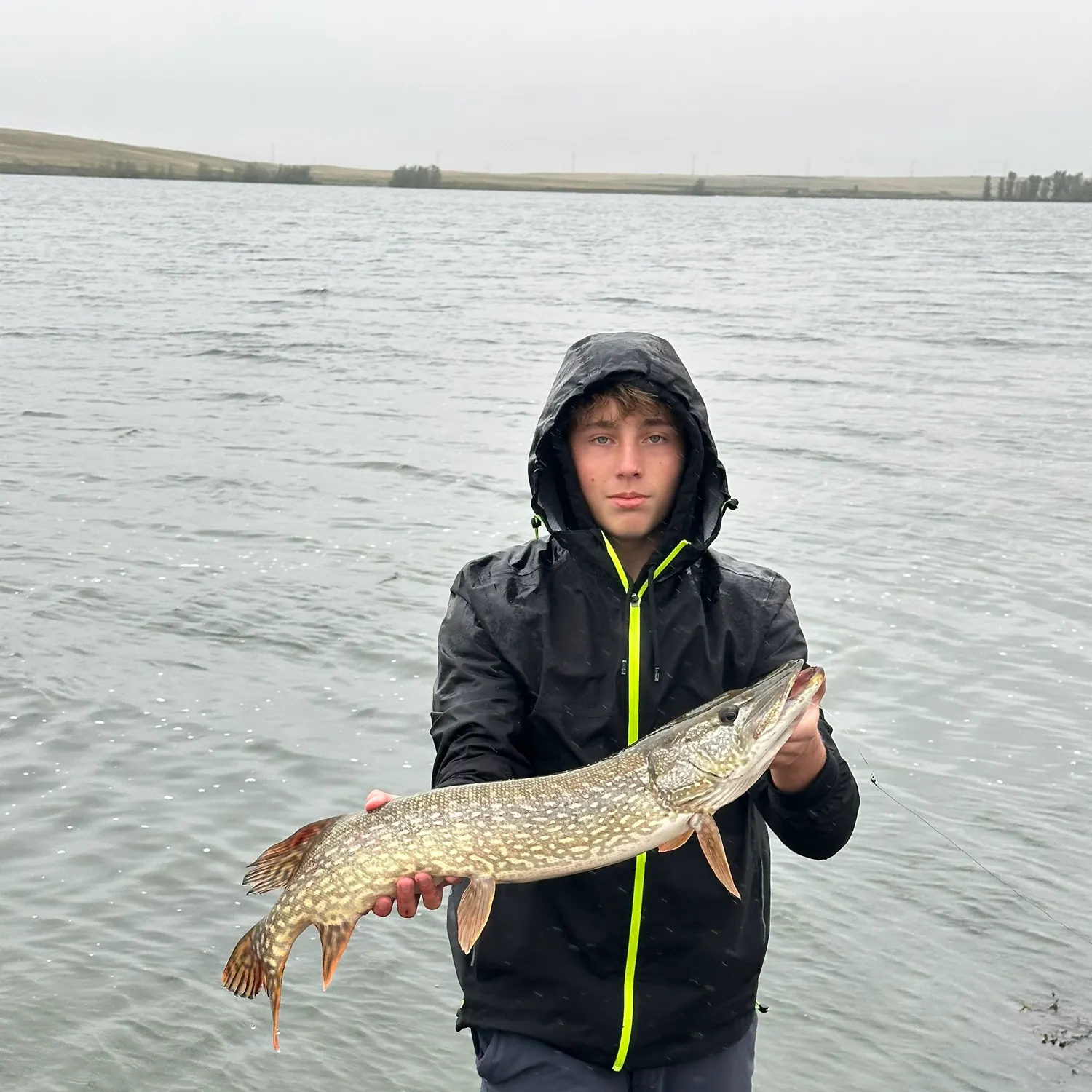 Northern pike caught on Fishbrain