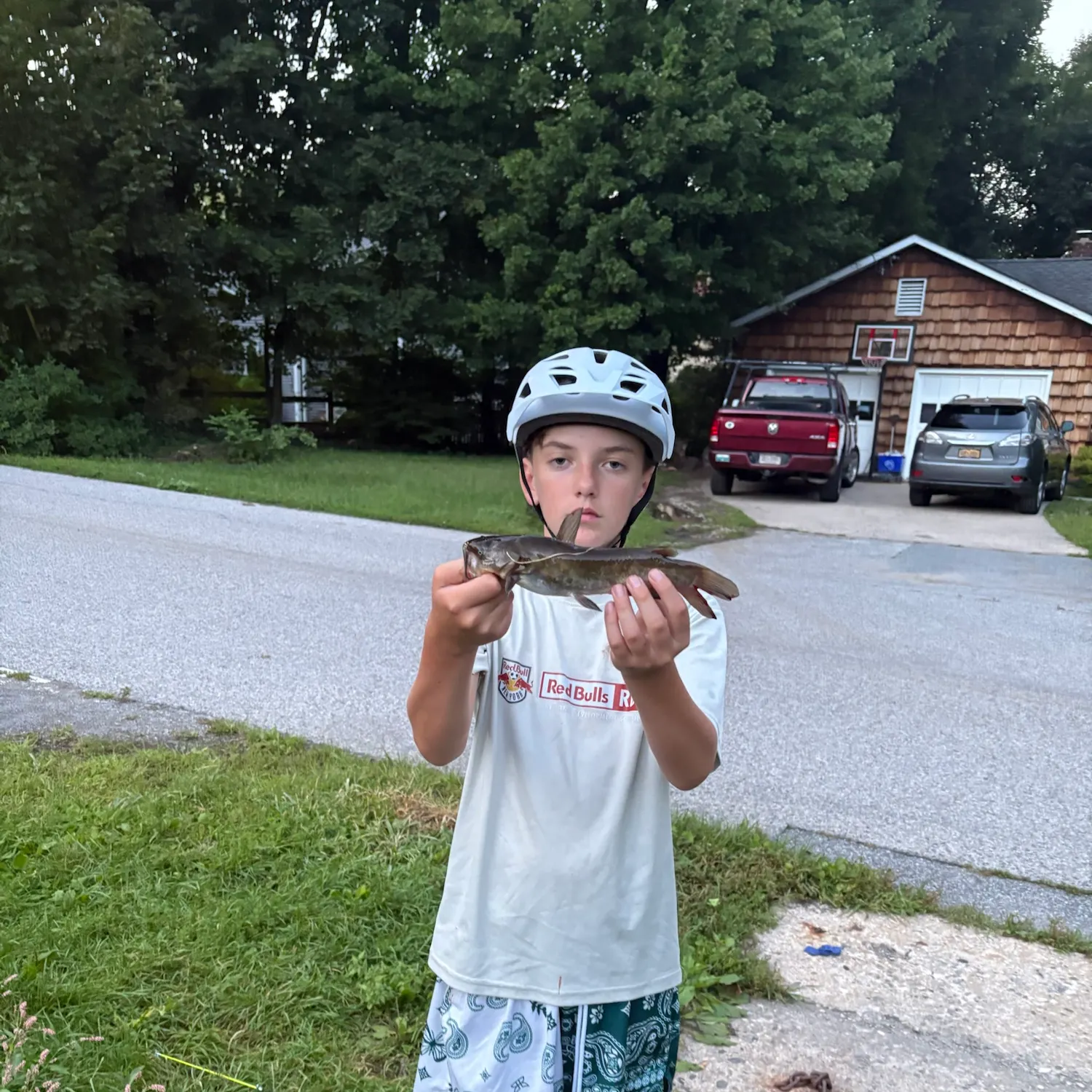 Black bullhead caught on Fishbrain