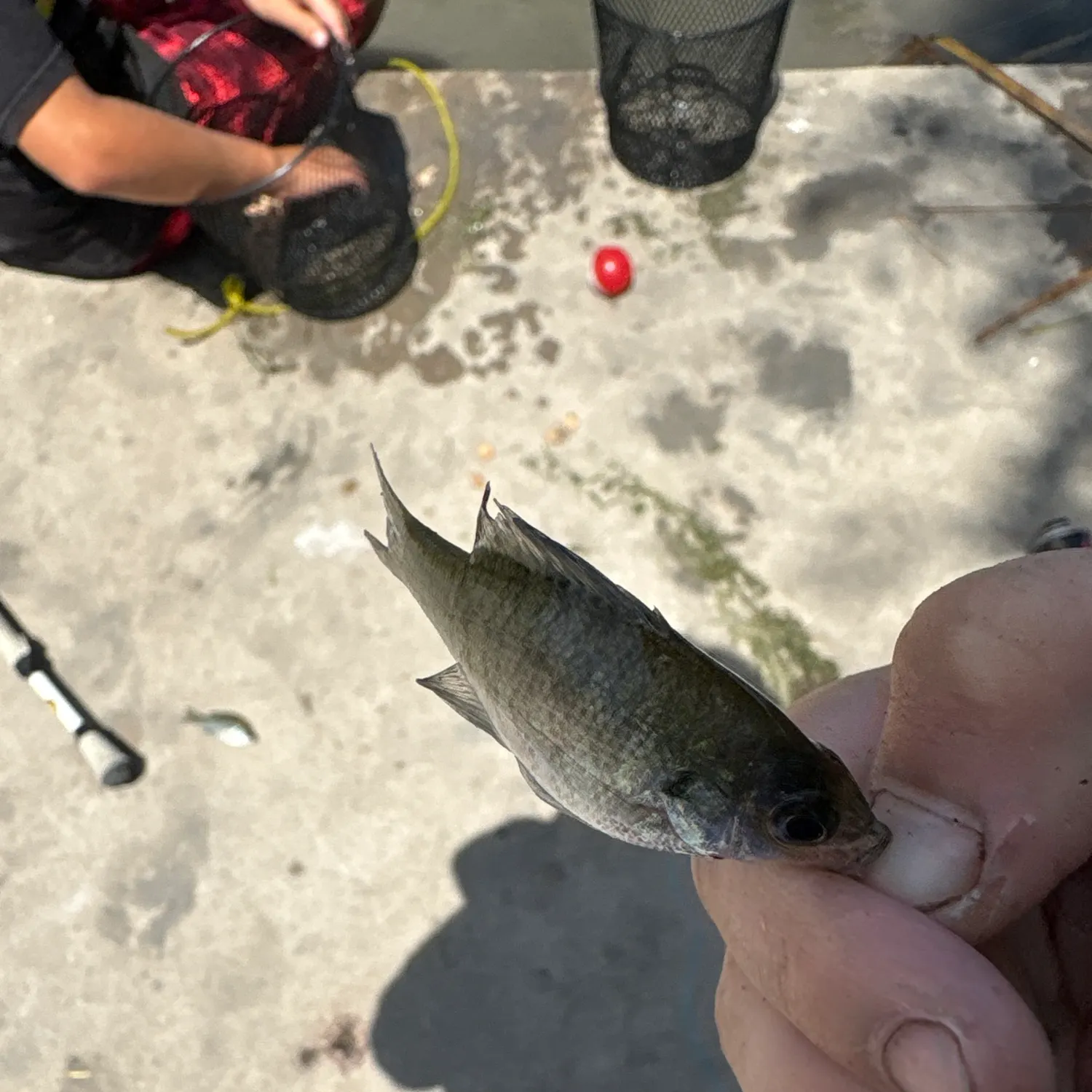 catch