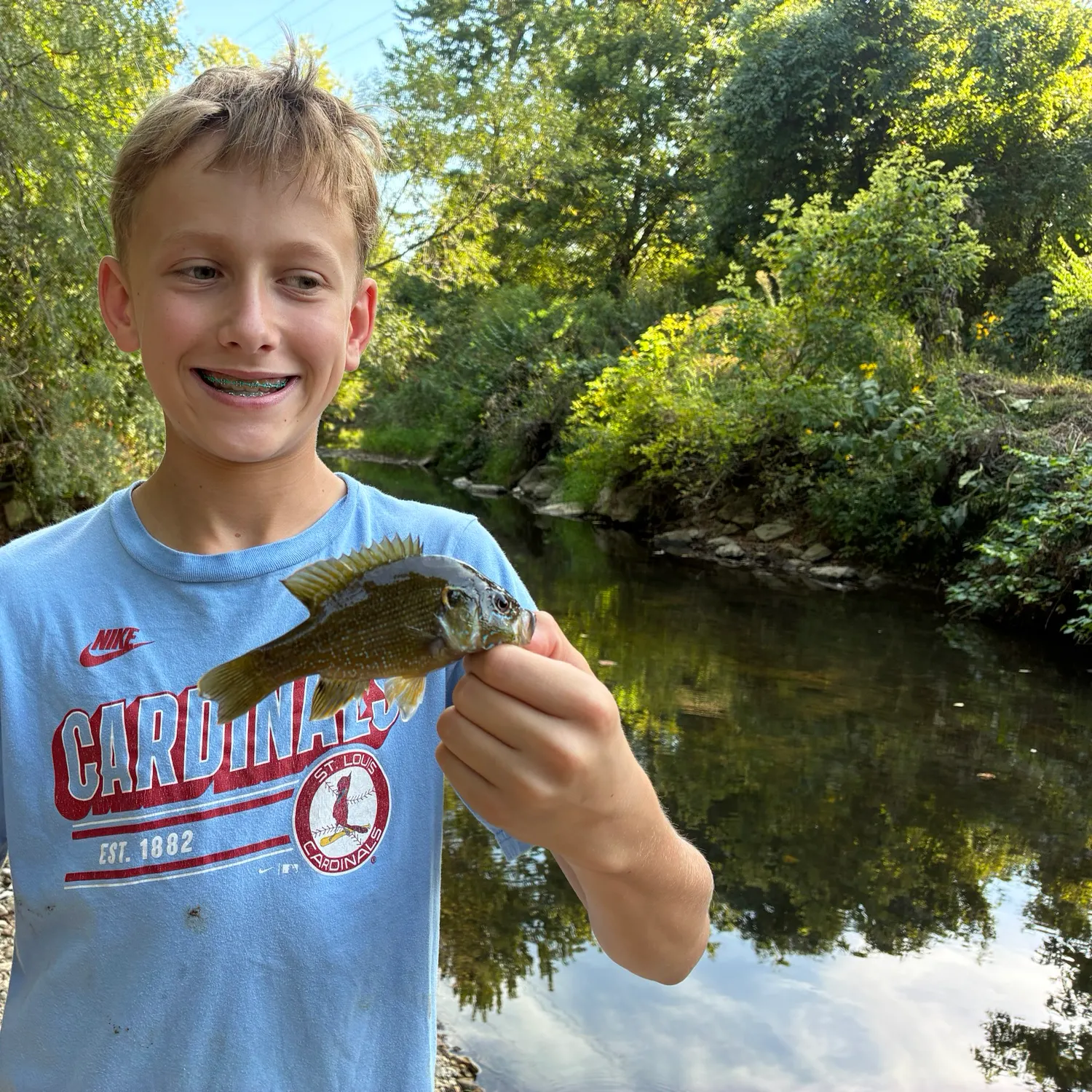 Green sunfish caught on Fishbrain
