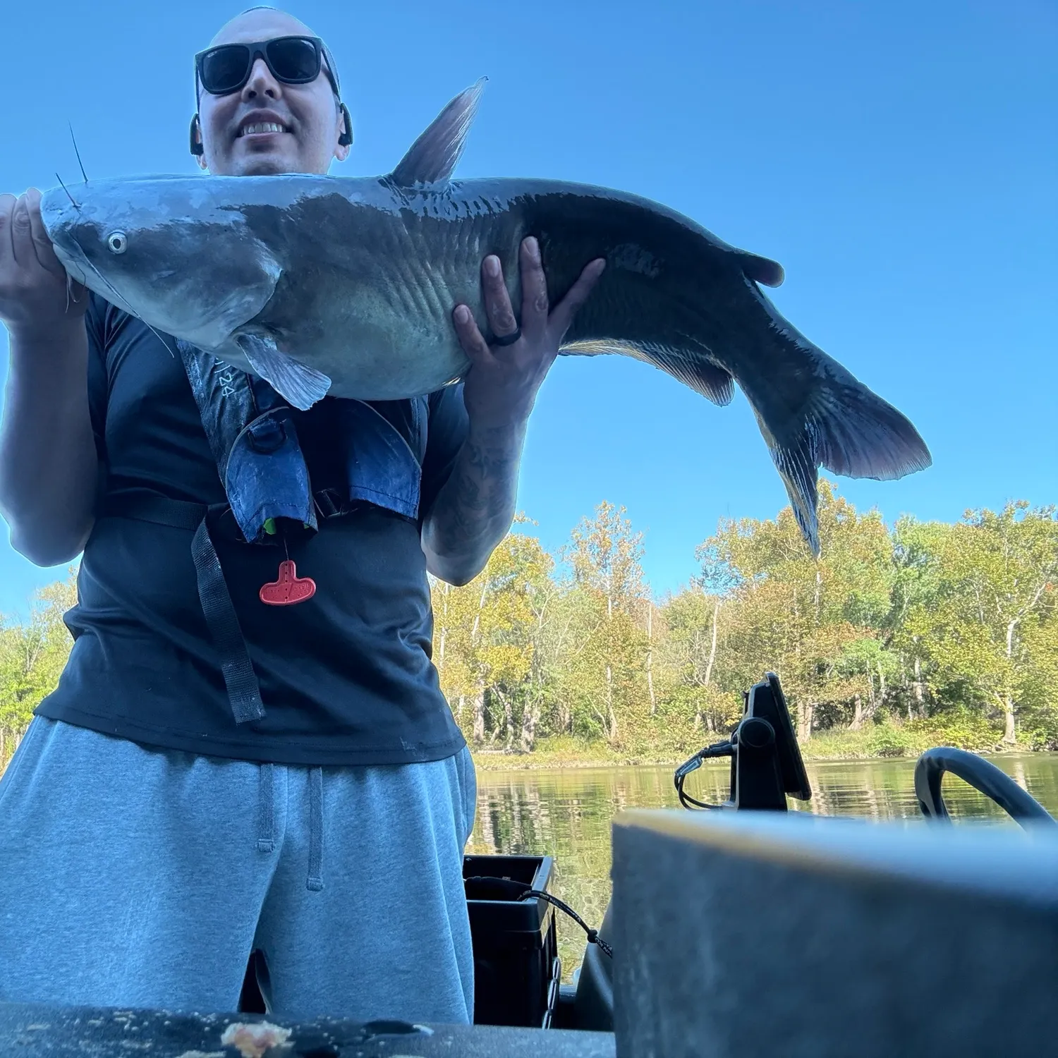 Blue catfish caught on Fishbrain