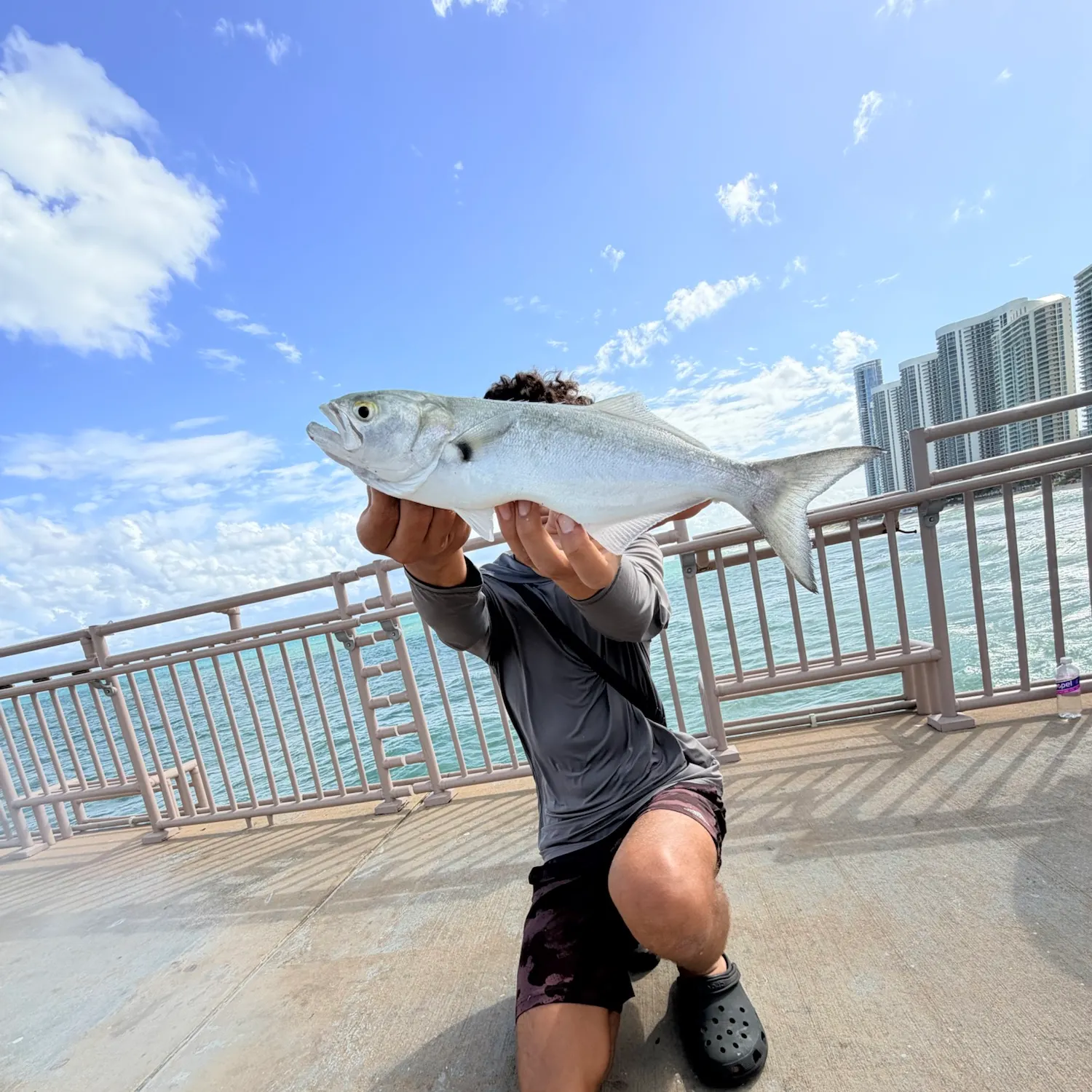 Bluefish caught on Fishbrain
