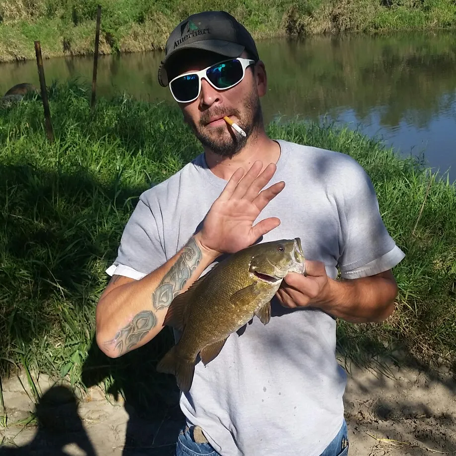 Smallmouth bass caught on Fishbrain