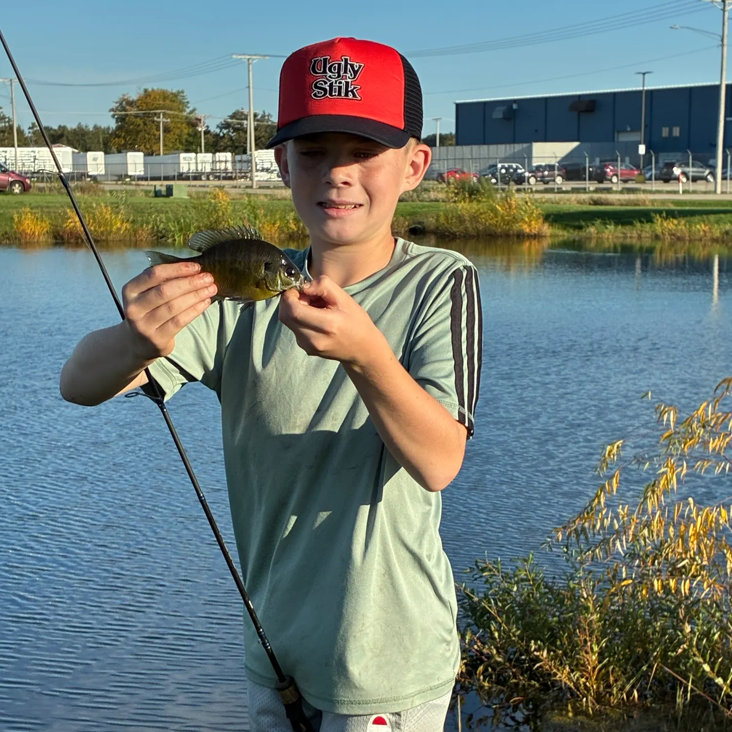 Bluegill caught on Fishbrain