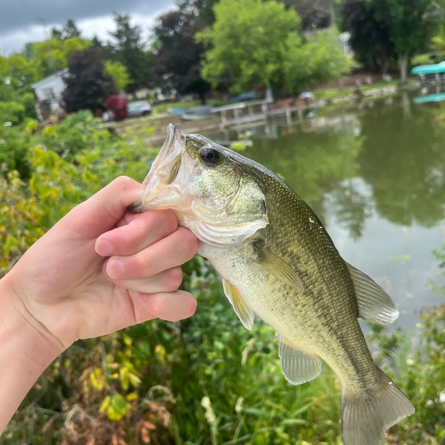 catch