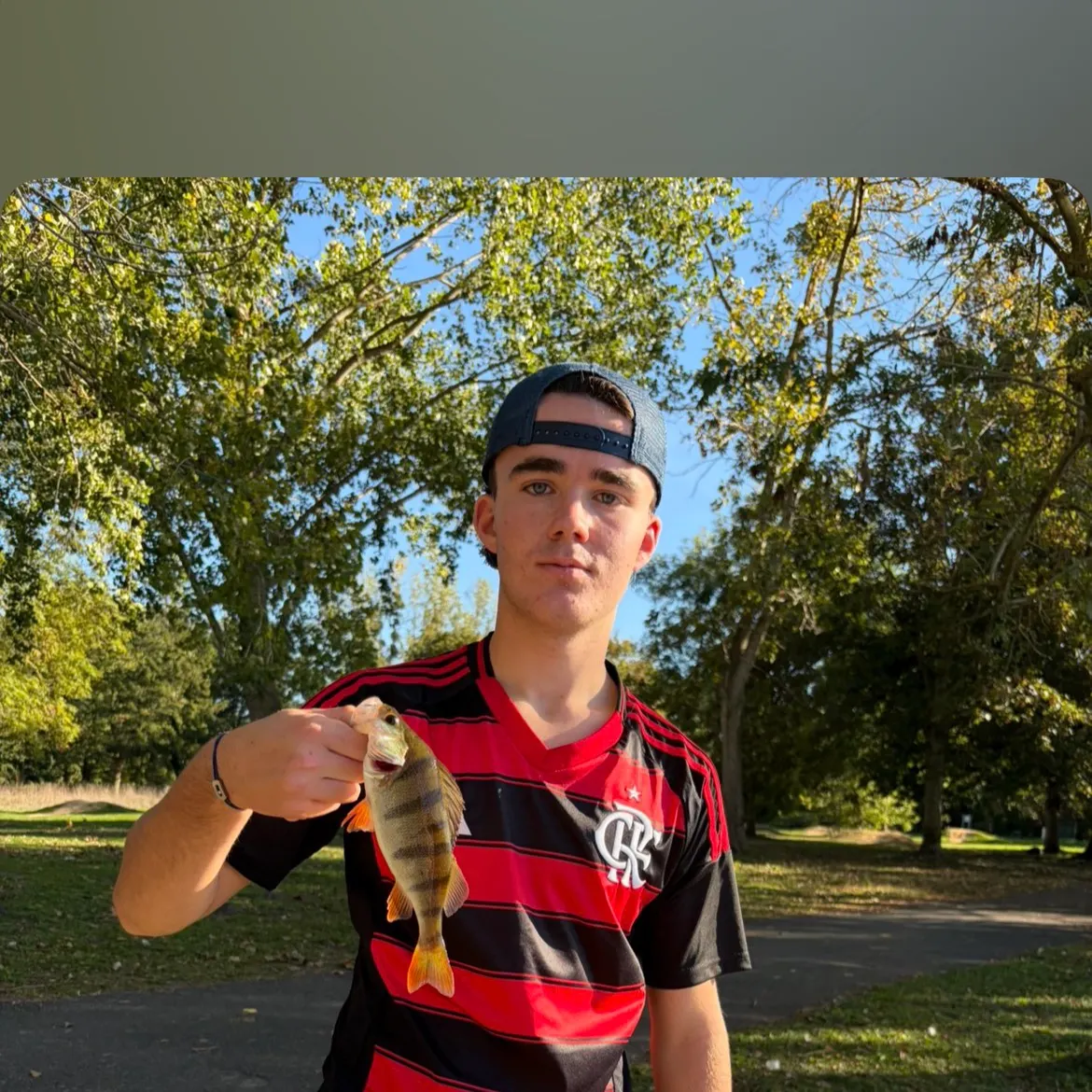 European perch caught on Fishbrain