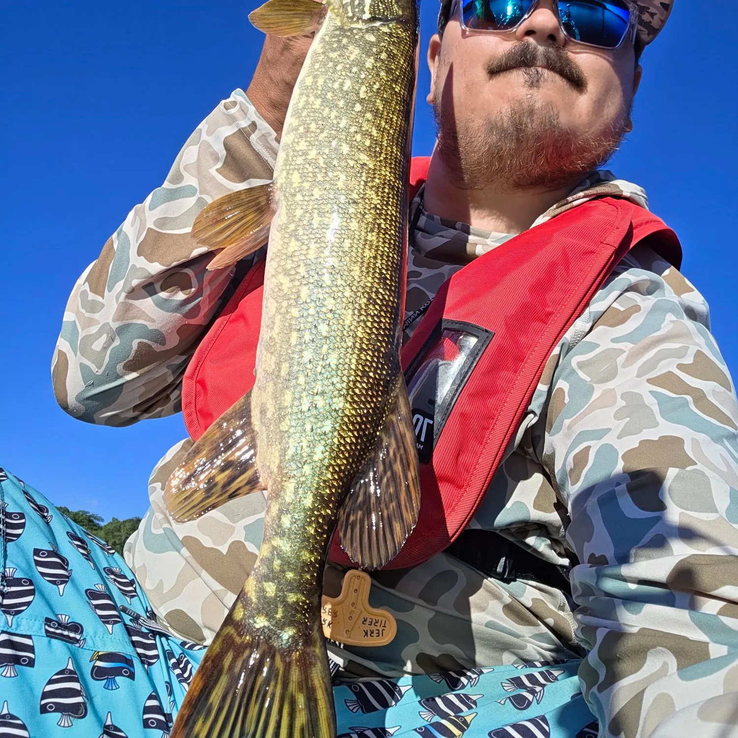 Northern pike caught on Fishbrain