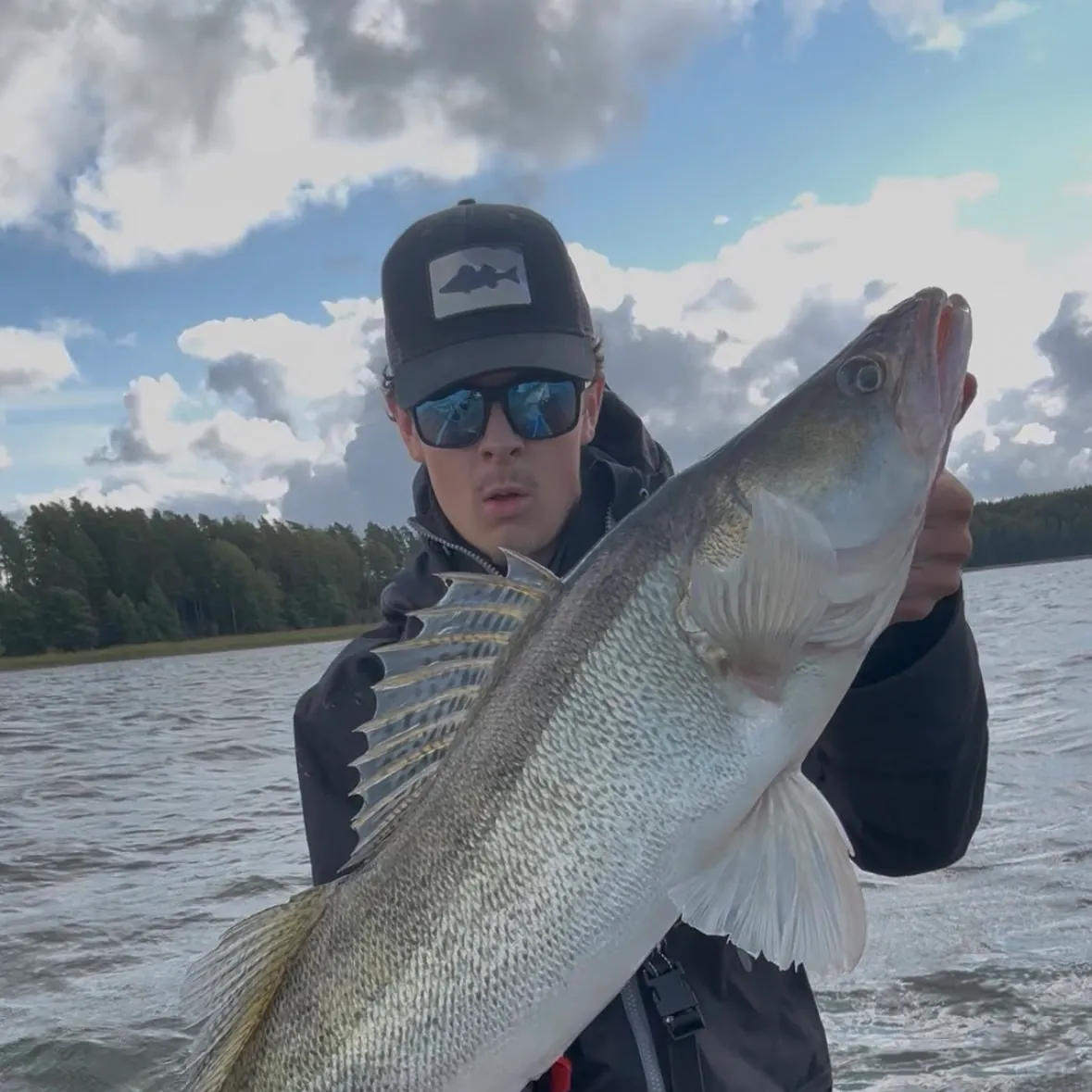 Zander caught on Fishbrain