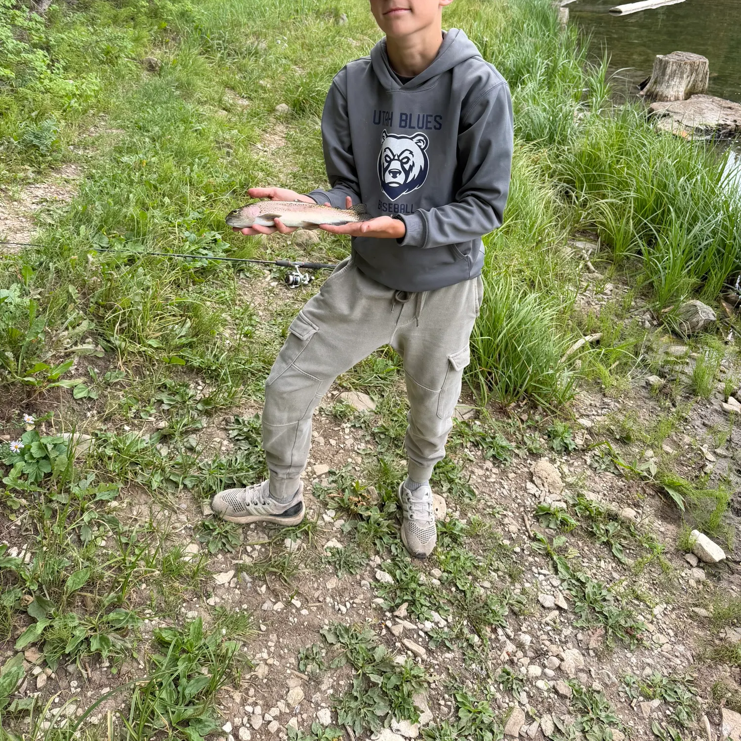 The most recent Bidyan perch catches on Fishbrain