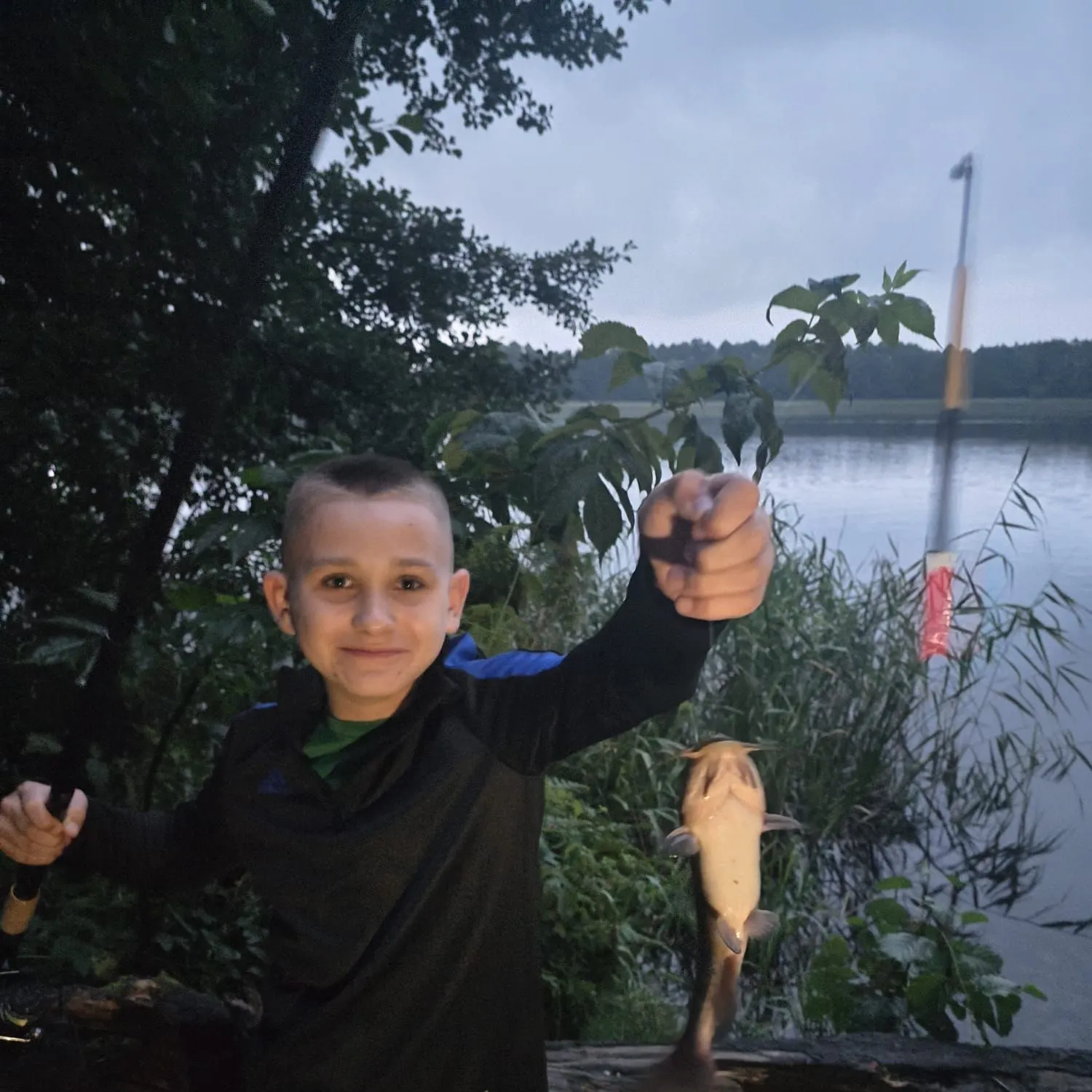 The most recent North African catfish catches on Fishbrain